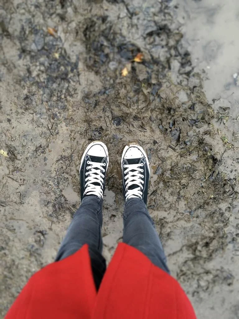 Quest 1: Find Wellingtons