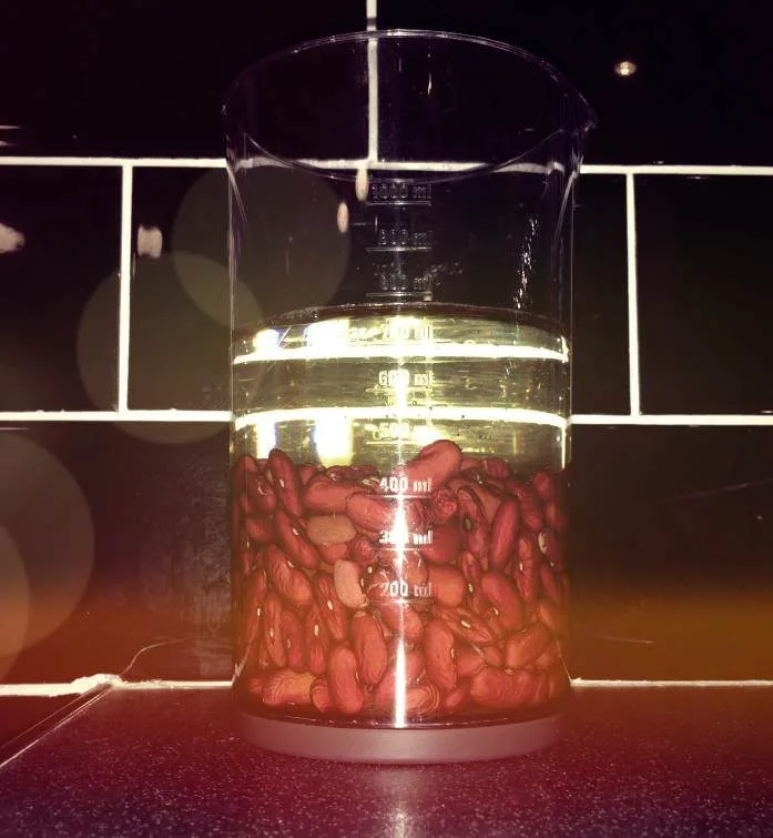Nothing as beautiful as soaking kidney beans — the holy grail of vegetarian cooking