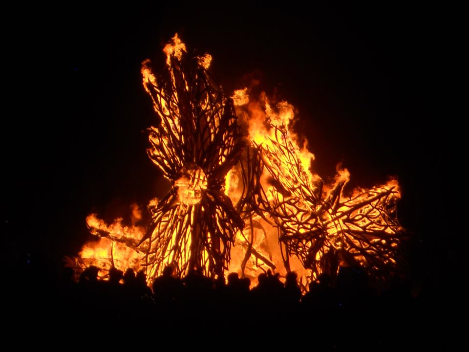  After 4 days, the seedpods were burned away, revealing a curved, steel structure underneath. 