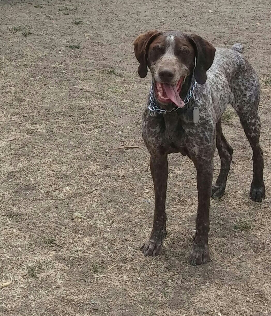 Rexx and 4th of July