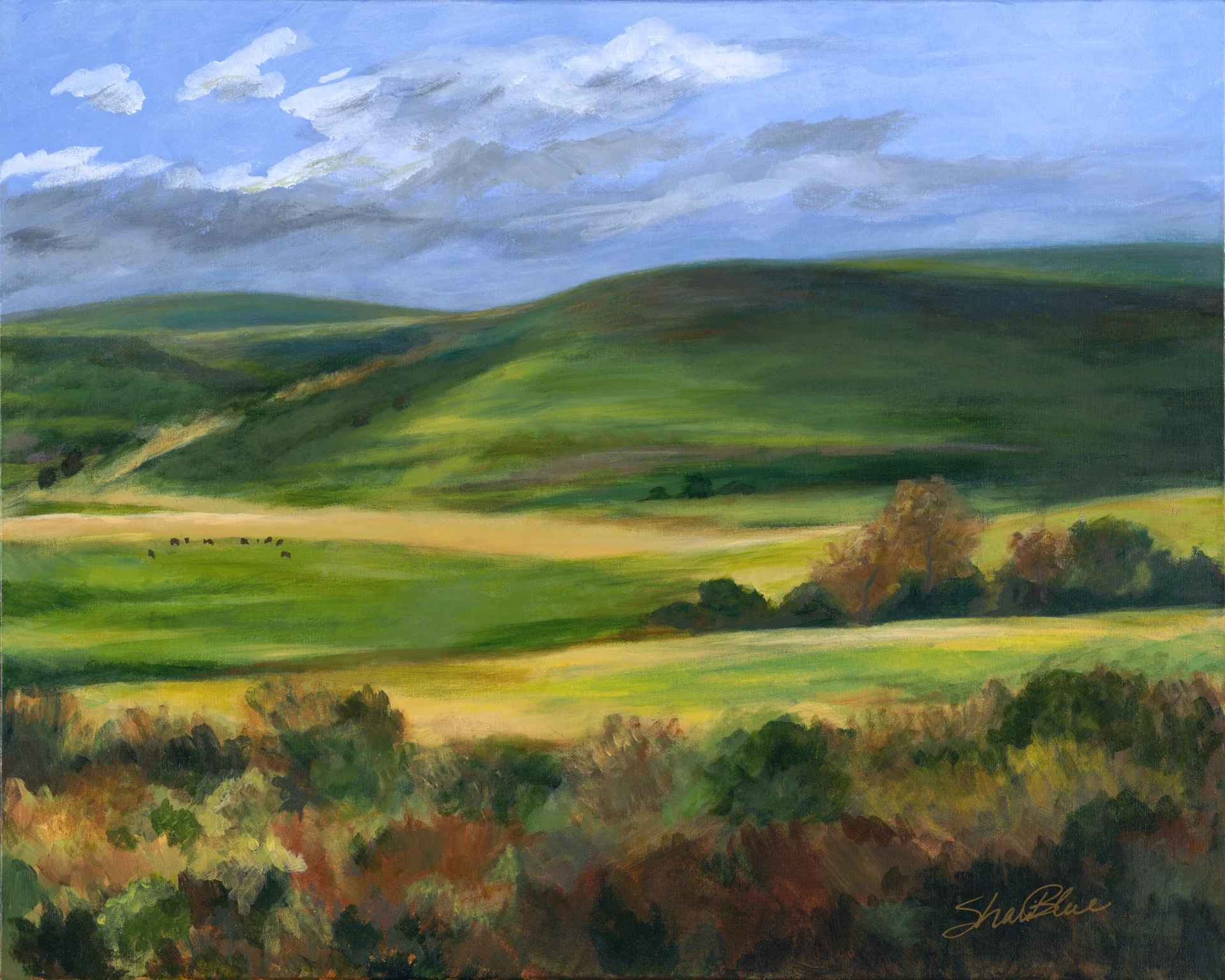 51147528_flint_hills_1.jpg