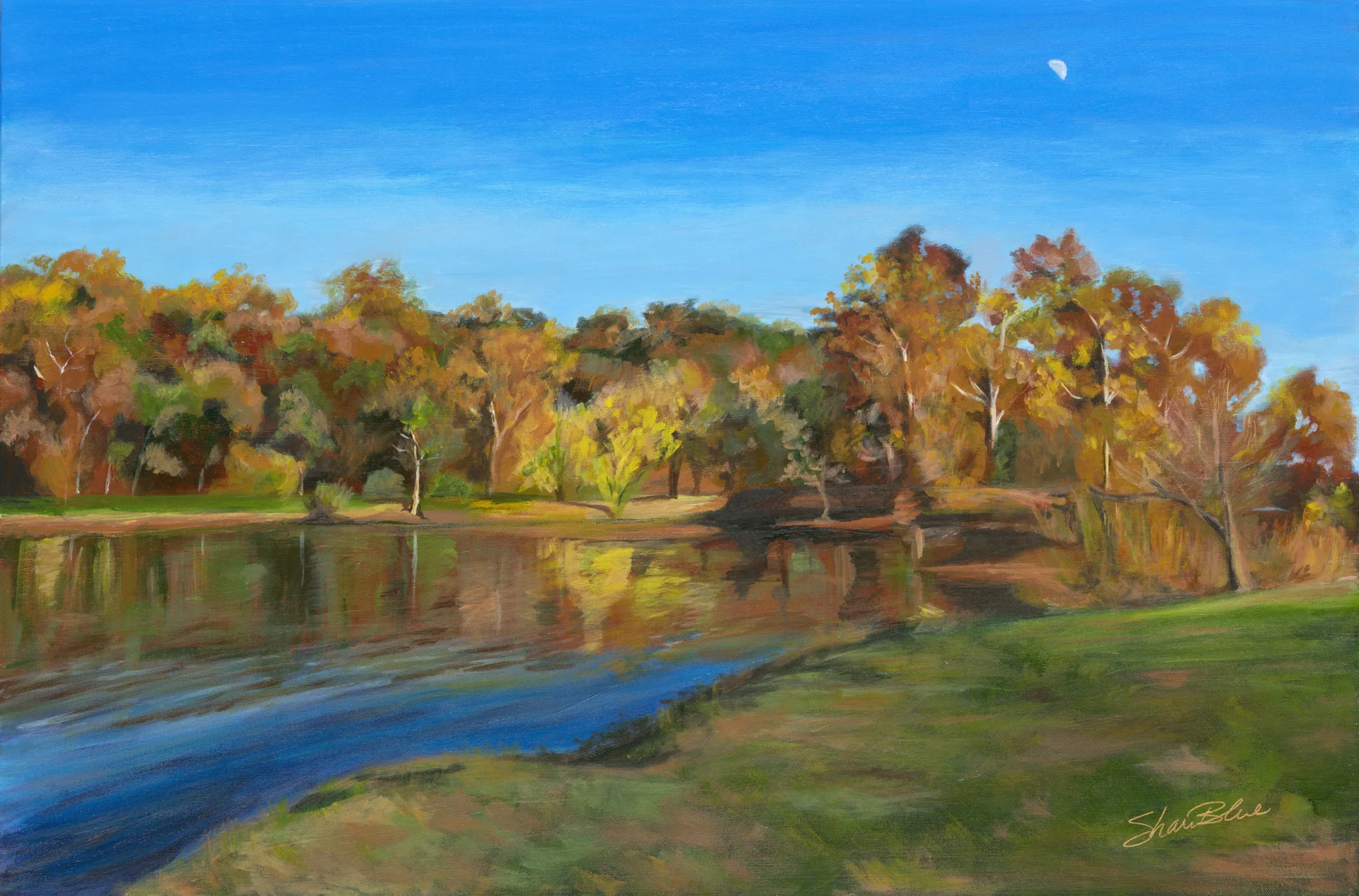 51147552_landscape.jpg