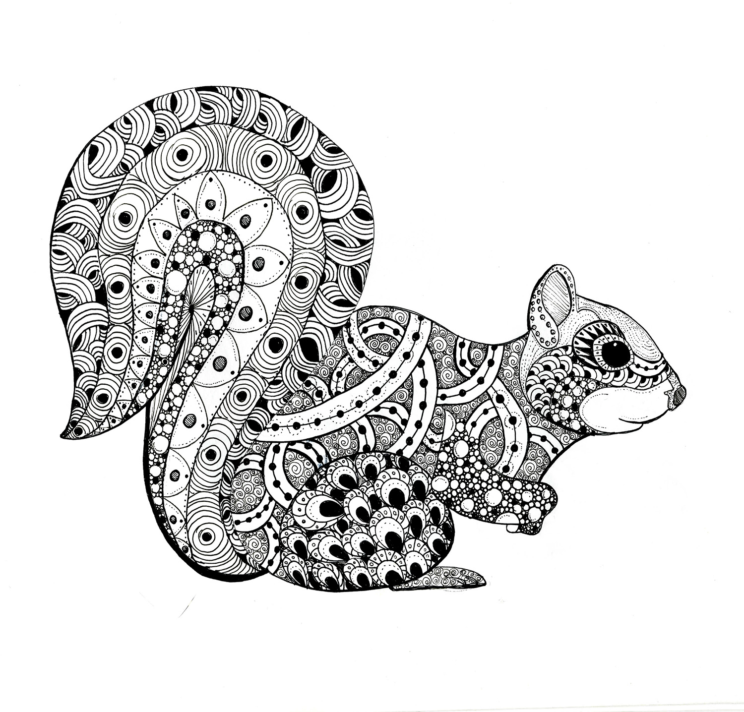 51147557_zen_squirrel_-_hand_drawn_illustration_by_heather_croxton.jpg