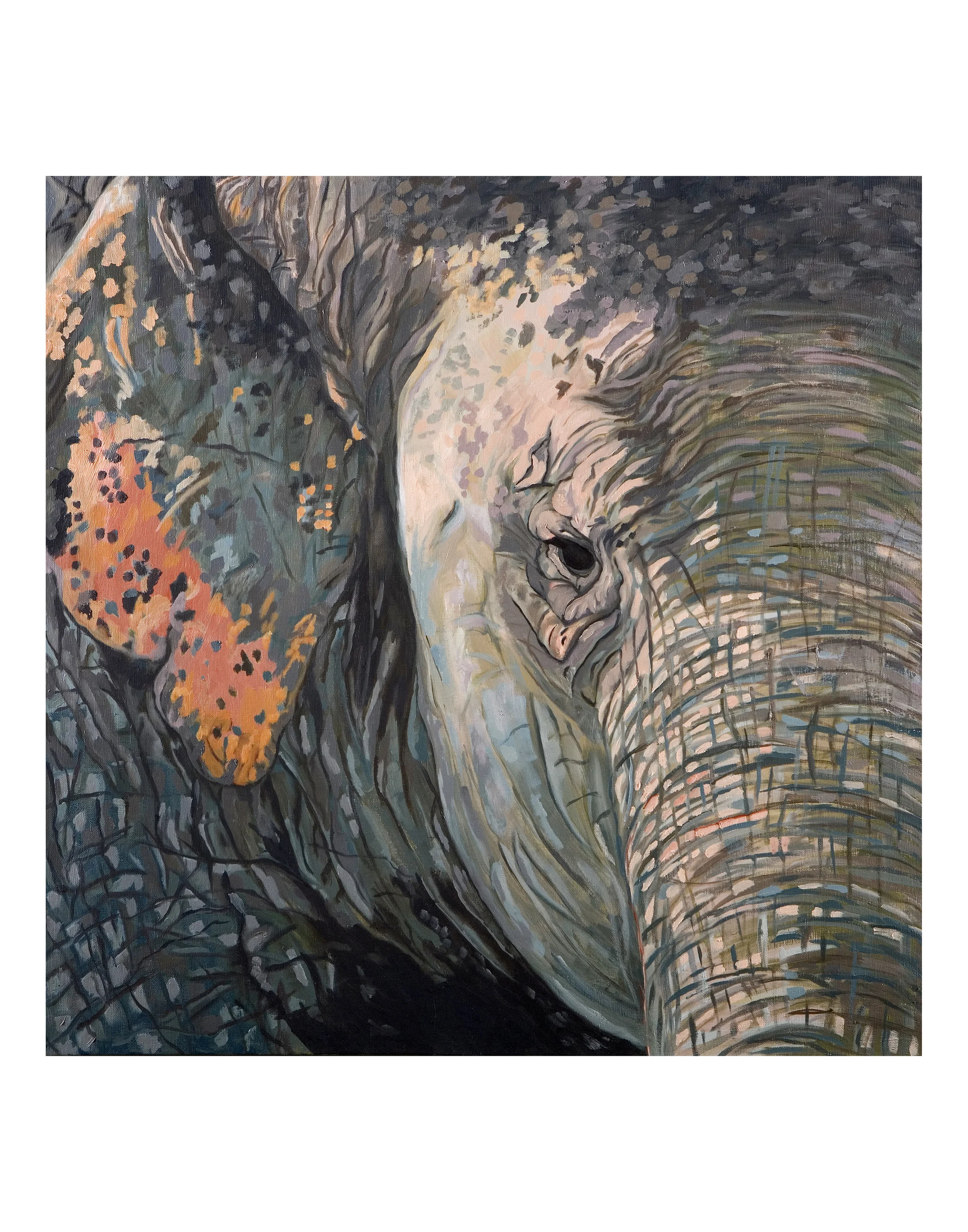Bombay Elephant