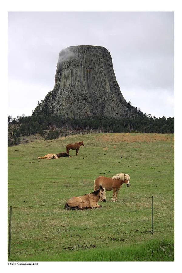 Devils Tower, WY_ image 1 - Sylvia Augustus.jpg