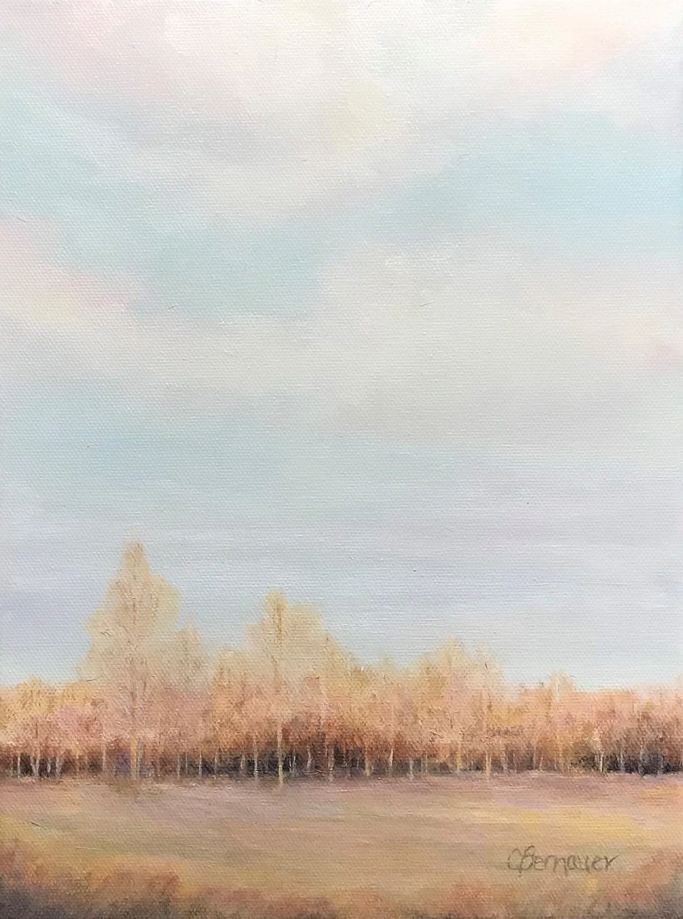 Glimmer - Carrie Bernauer.jpg