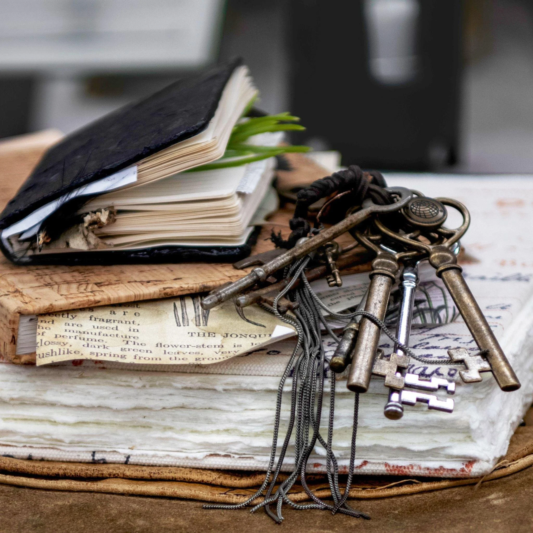 Junk Journal with Kelly Scott