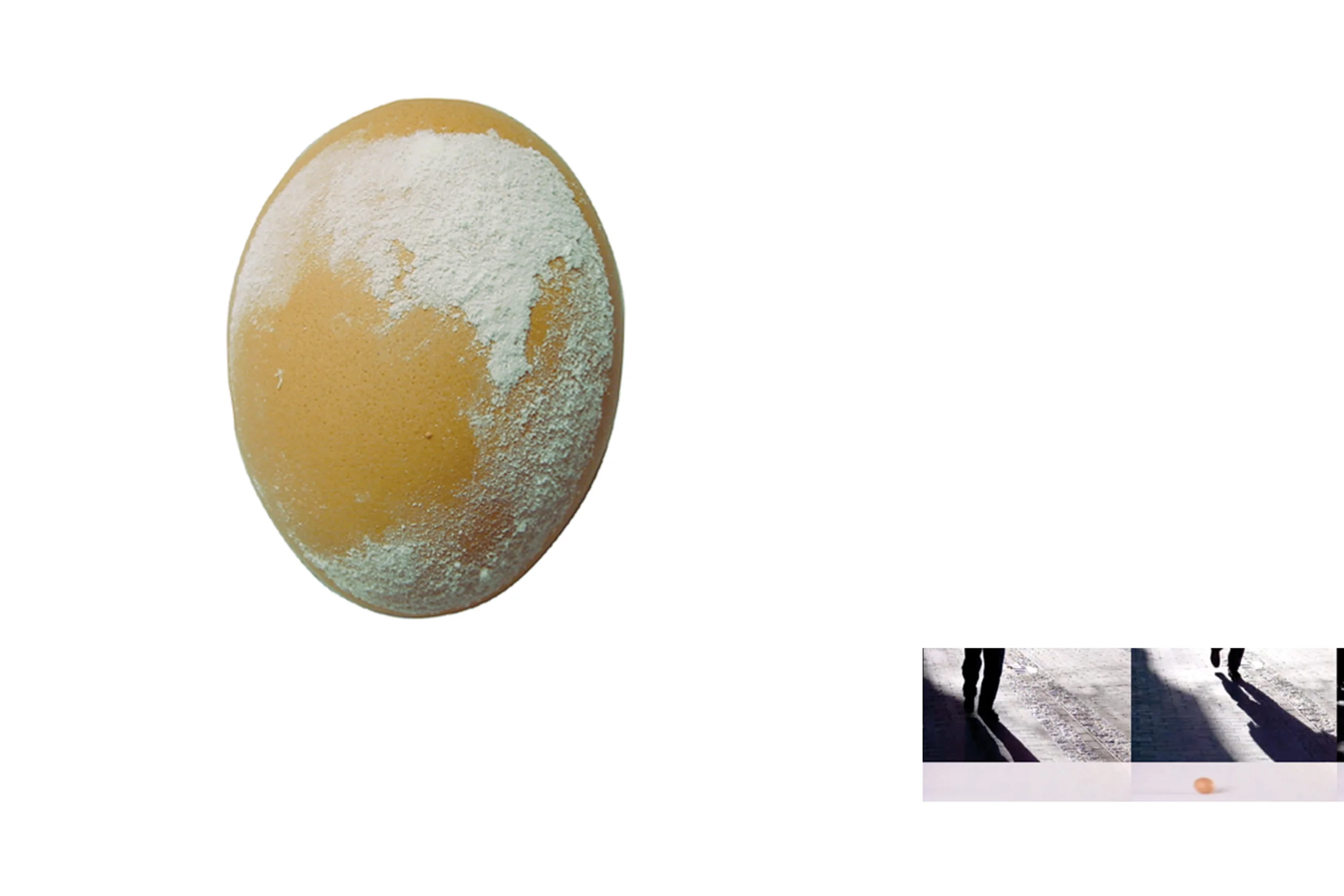 Incubate, interactive video installation
