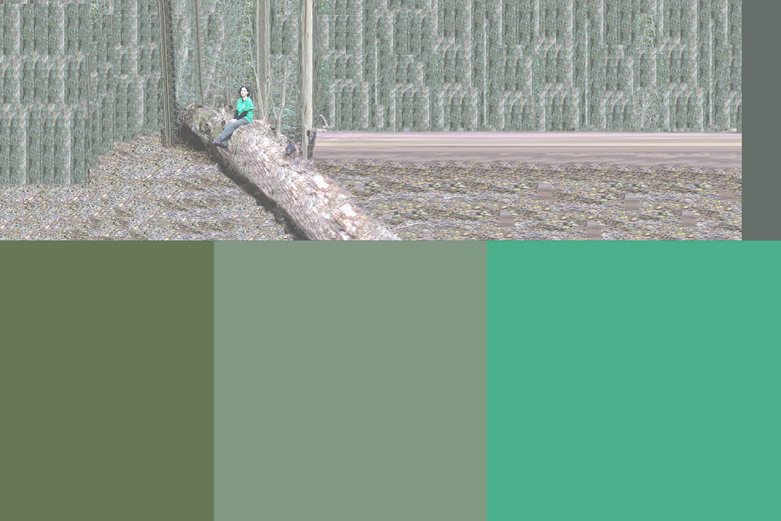 Abstract range composition #1, #2, and #3, New York and Argentina