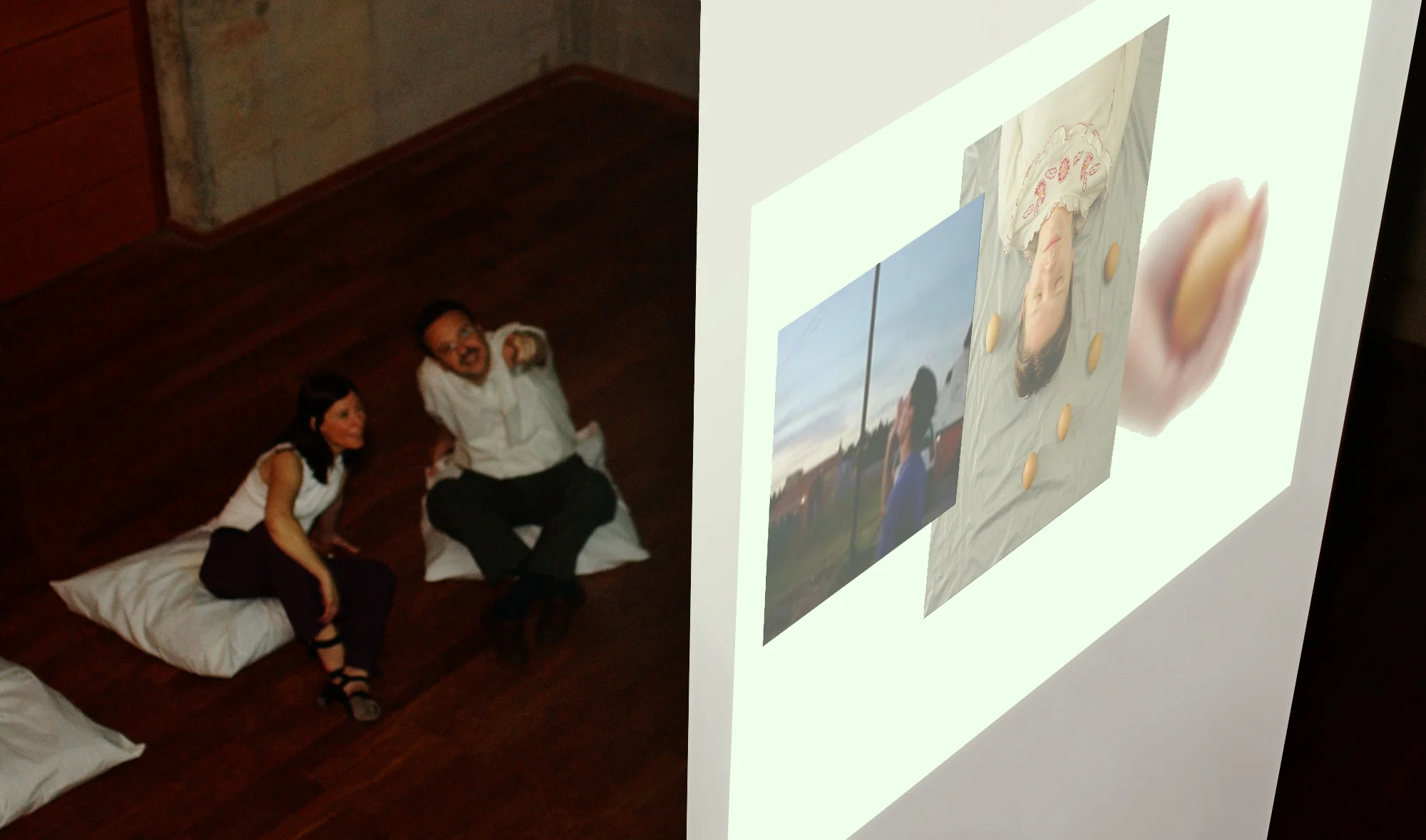 Incubate, interactive video installation