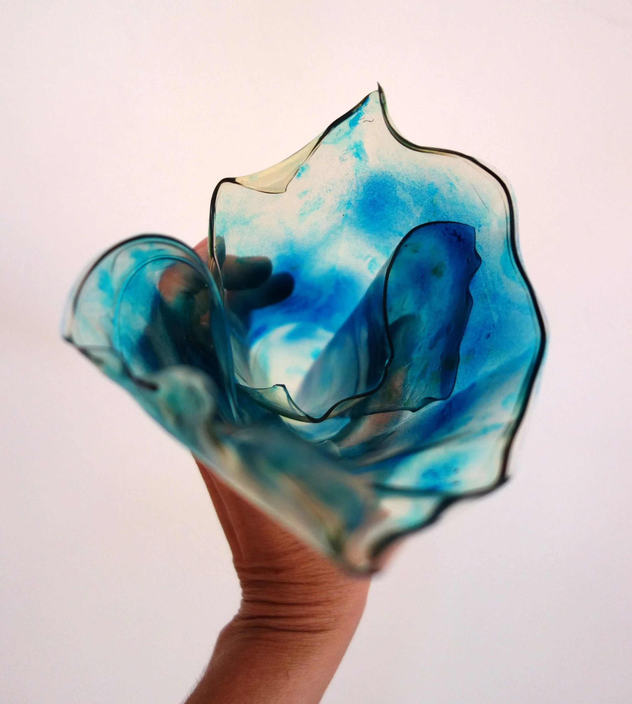 Translucent Organism (2024, Brooklyn, NY)