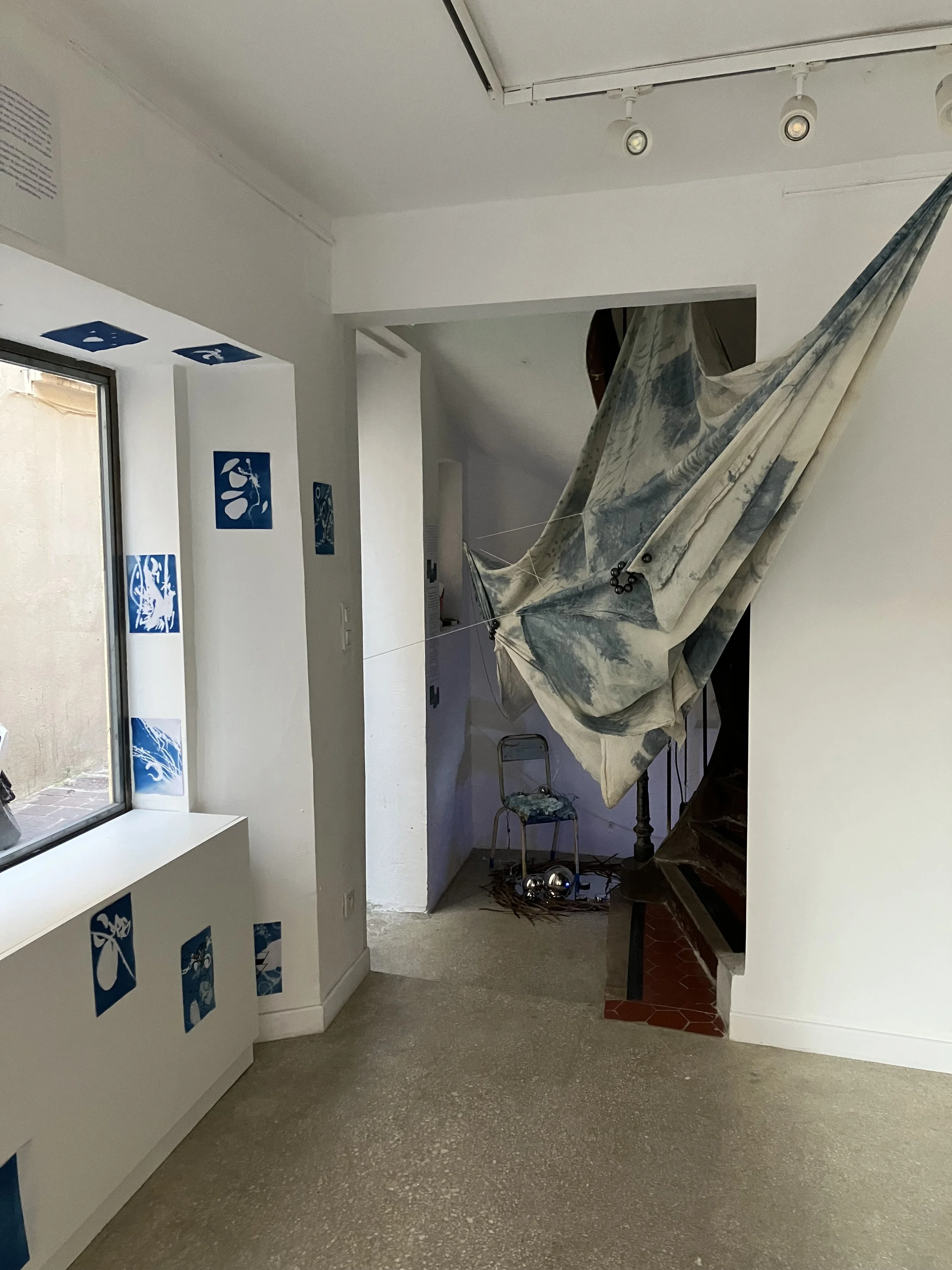 The Sea Is a Soft Machine (2025)