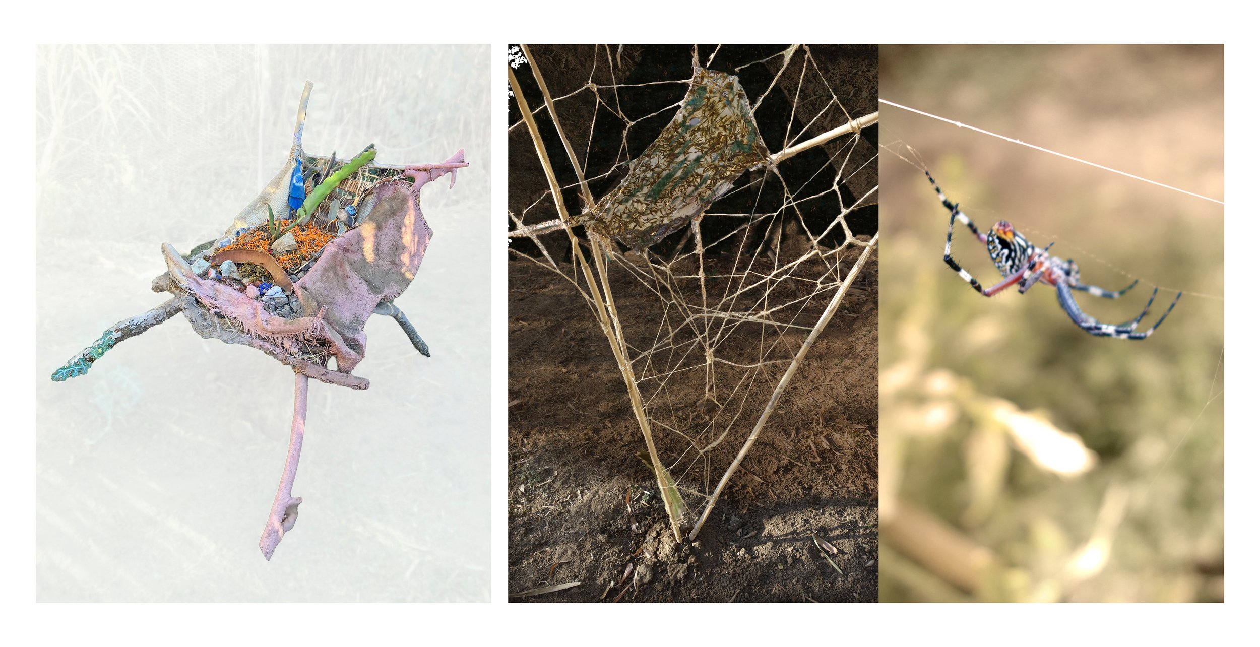 LivingChair and Sculpture for and with spiders (2024, Etla, Oaxaca, Mexico)