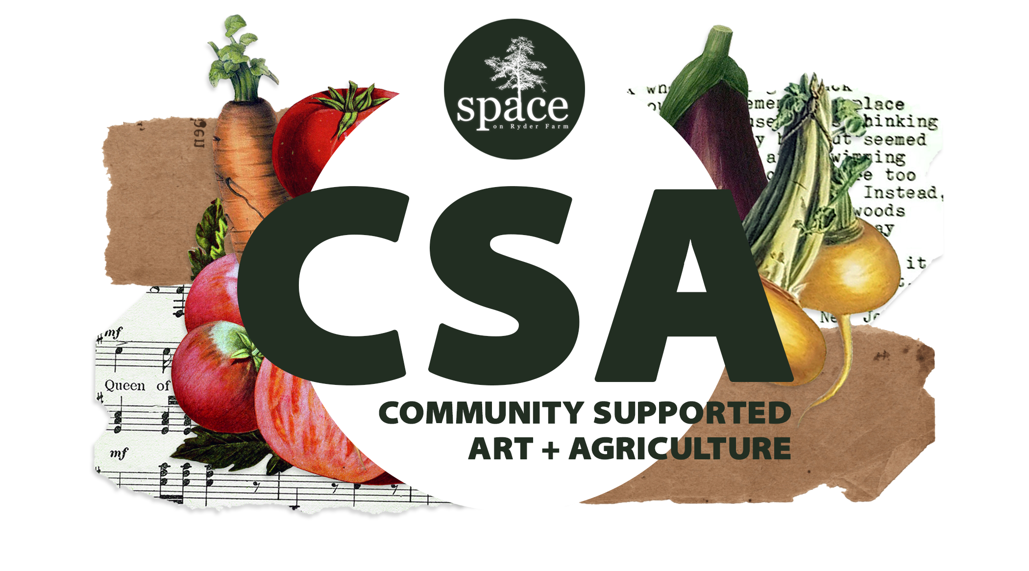 csa header FINAL.png