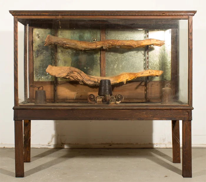 Don DeMauro "Regions of The Body"