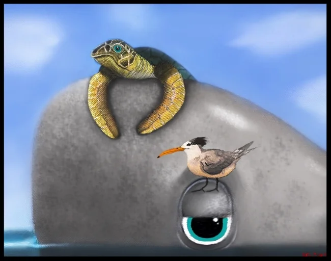 Perfect Day for a Whaleboat Ride