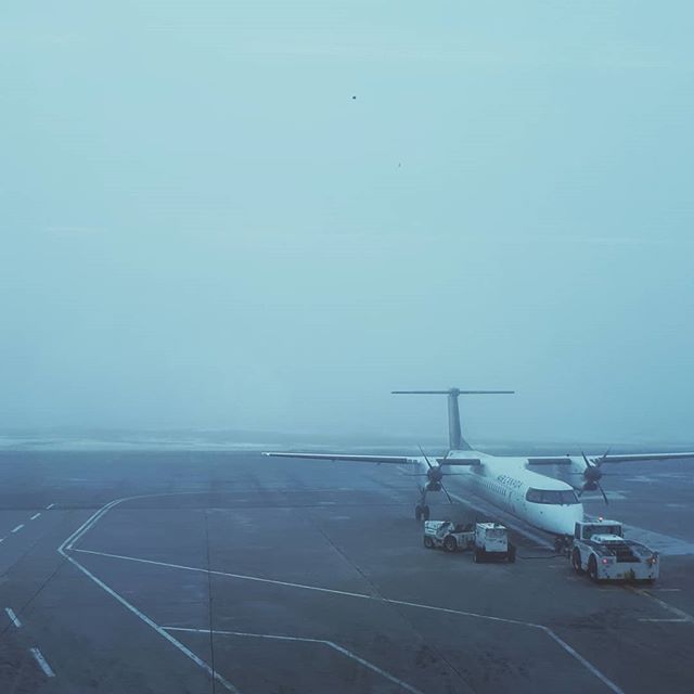 You can always count on the weather here in NL . . .
#fog #foggy #nl #stjohns #airport #flight #delayed
