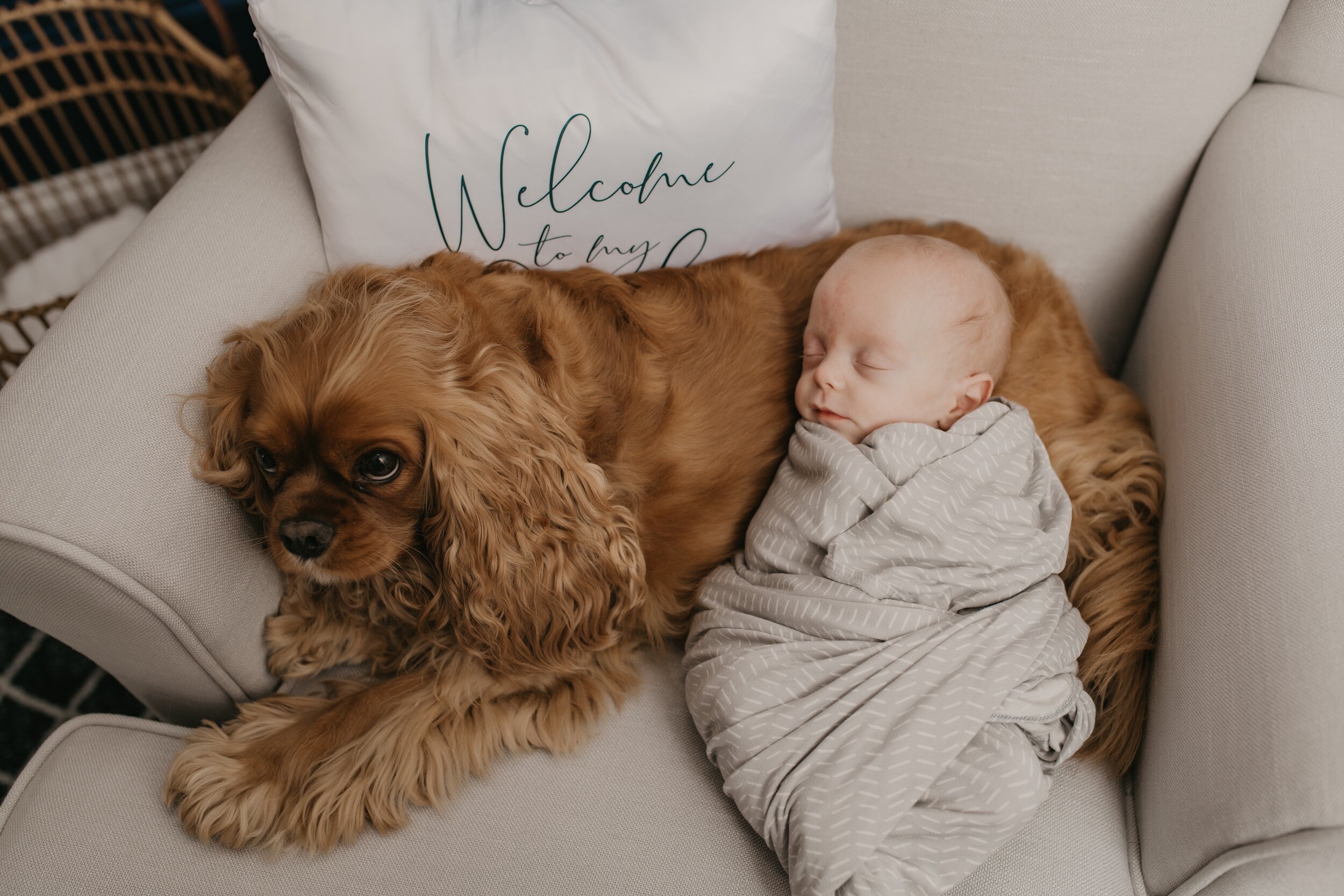 BabyAiden-7624.jpg