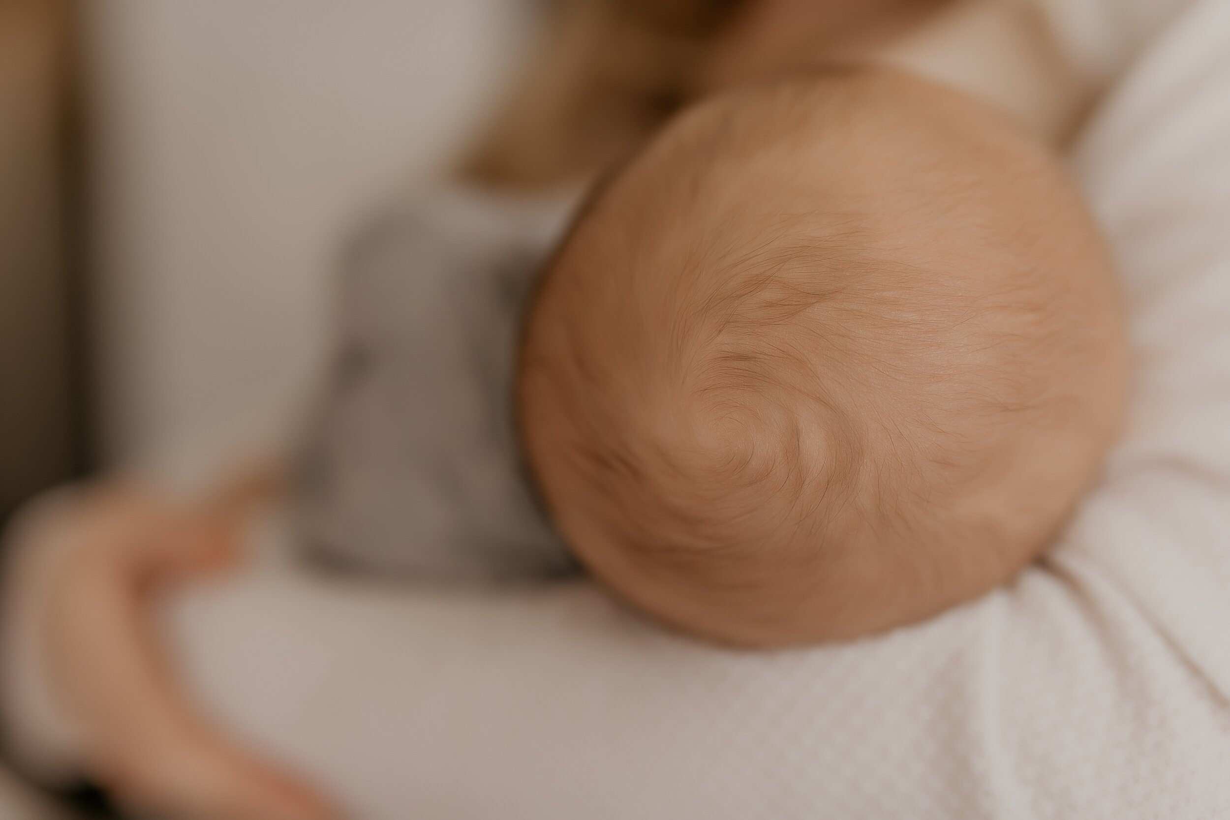 babyleo-3282.jpg