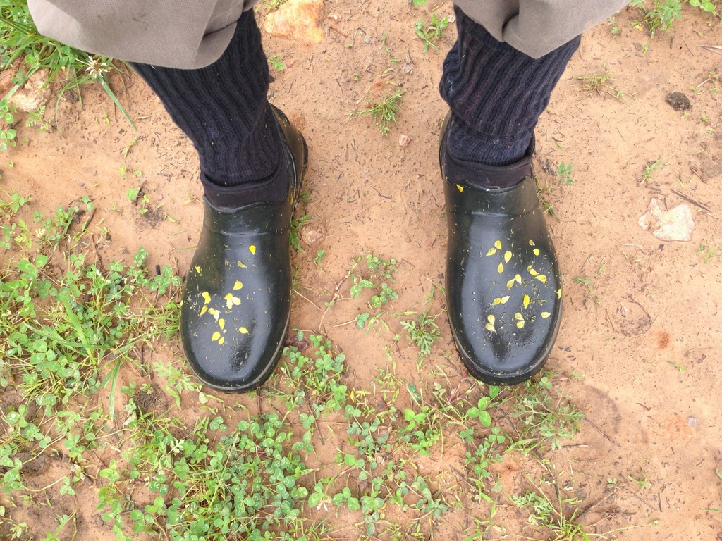 "There's gold in them thar hills." Walking the fields before purchase.