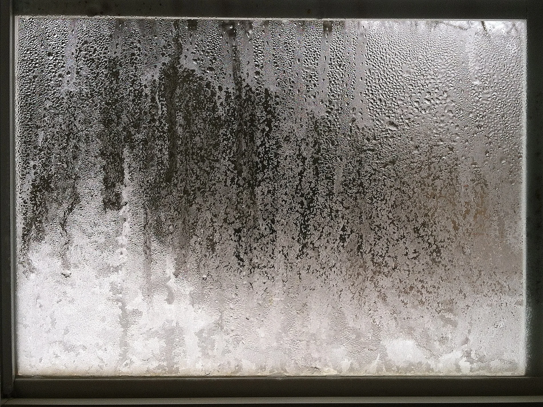The outside thermometer gave a low of 1 degree, though the greenhouse was up at 9, so I can't tell you just how cold it was. But, yes, in the office, in the morning, it was cold.