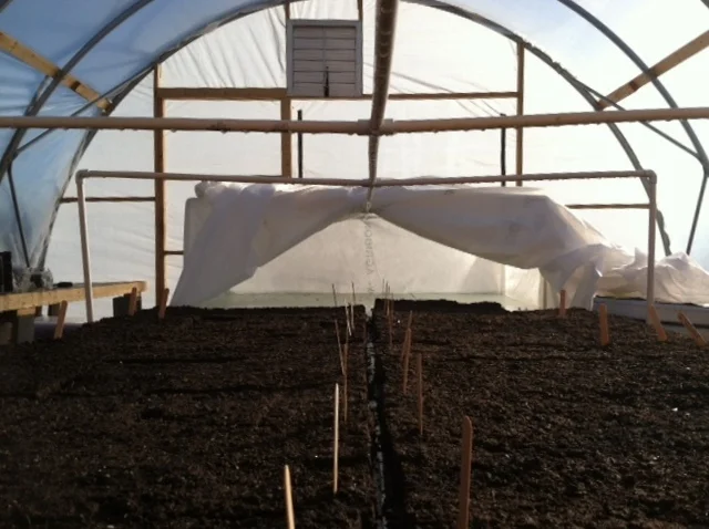 Their home. Heat mats and a blanket for bedtime.