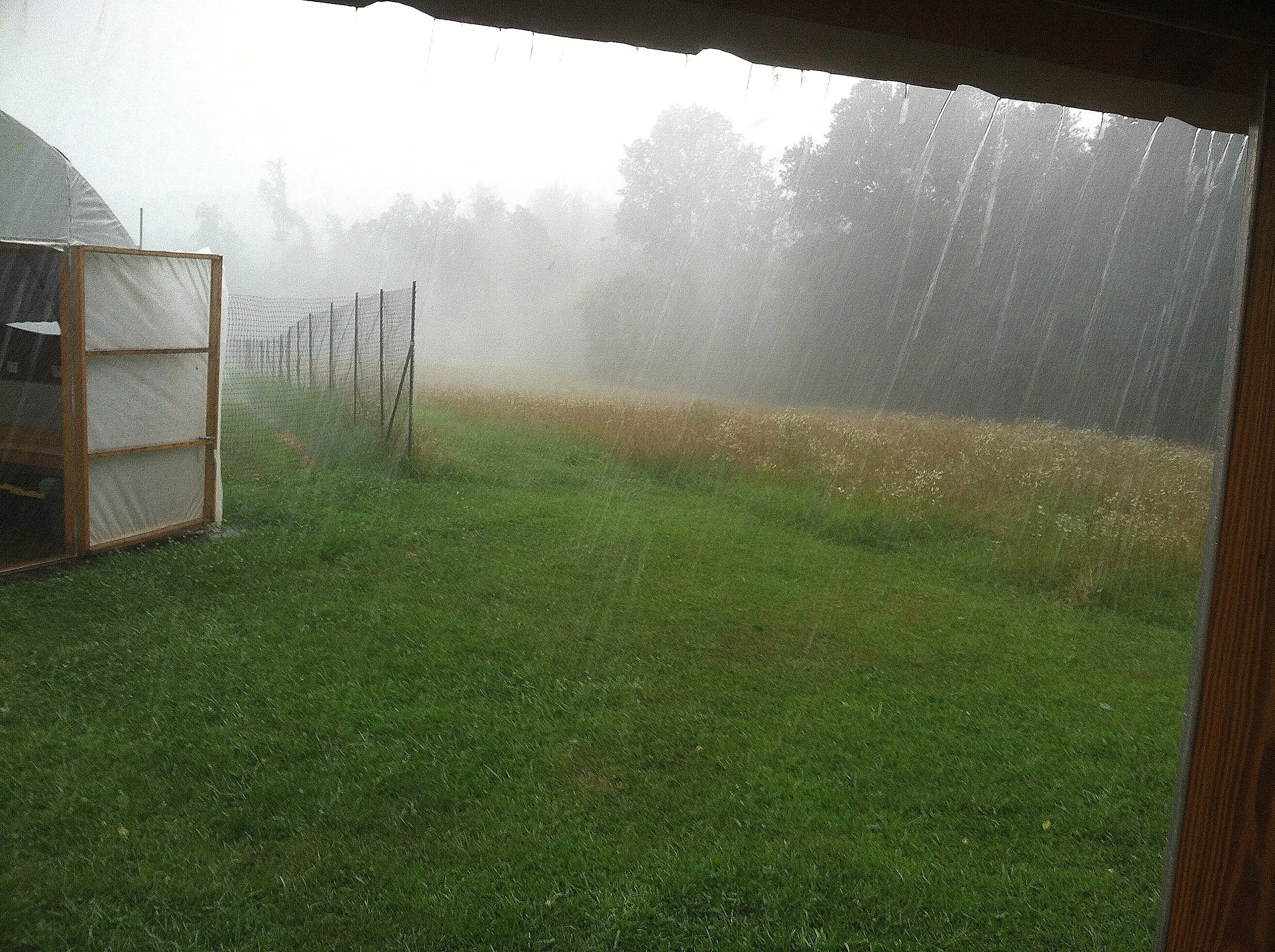 I have always been a fan of rainy days, even if they only last for a few minutes.