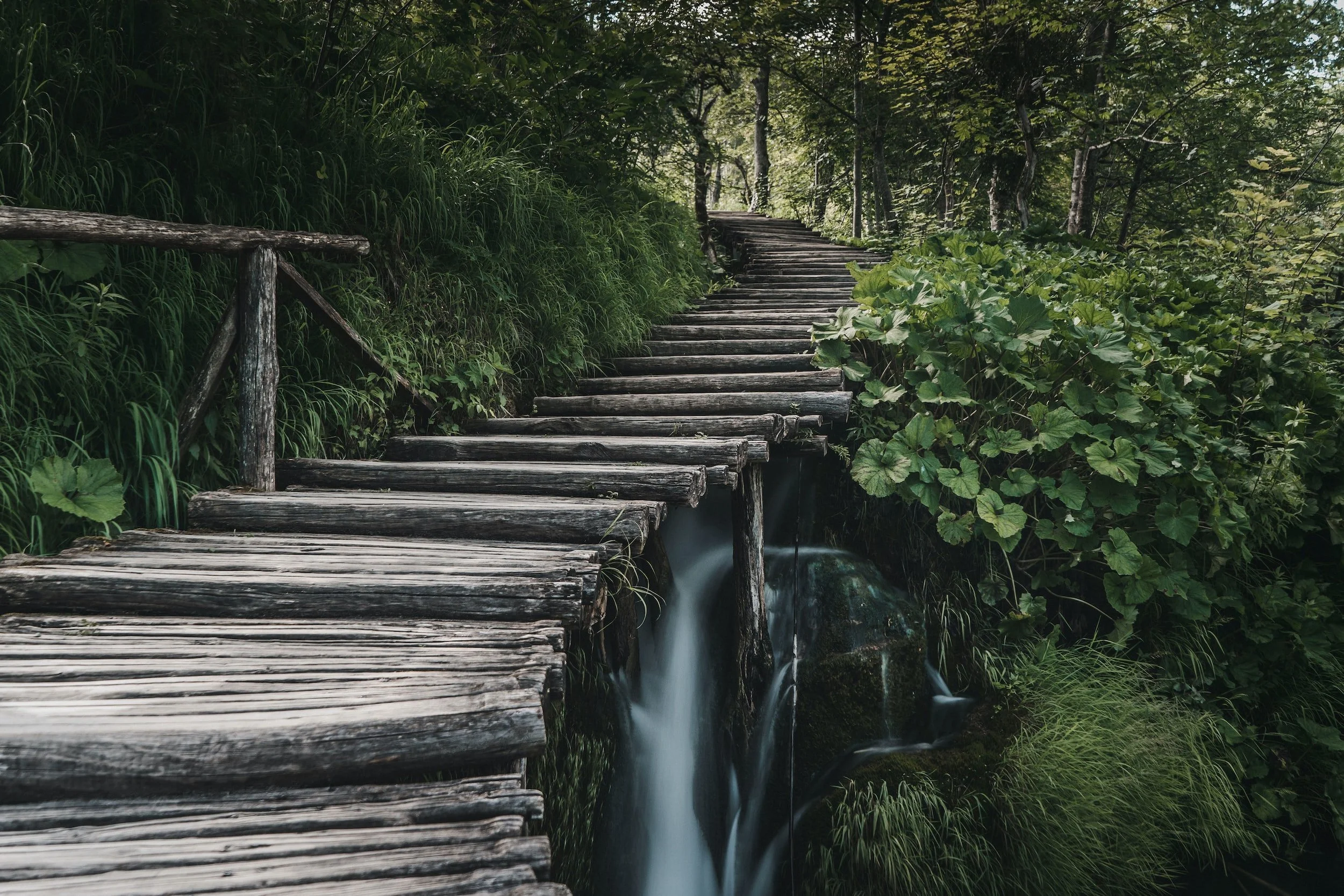 unsplash-image-0F9V1JQ67cE.jpg