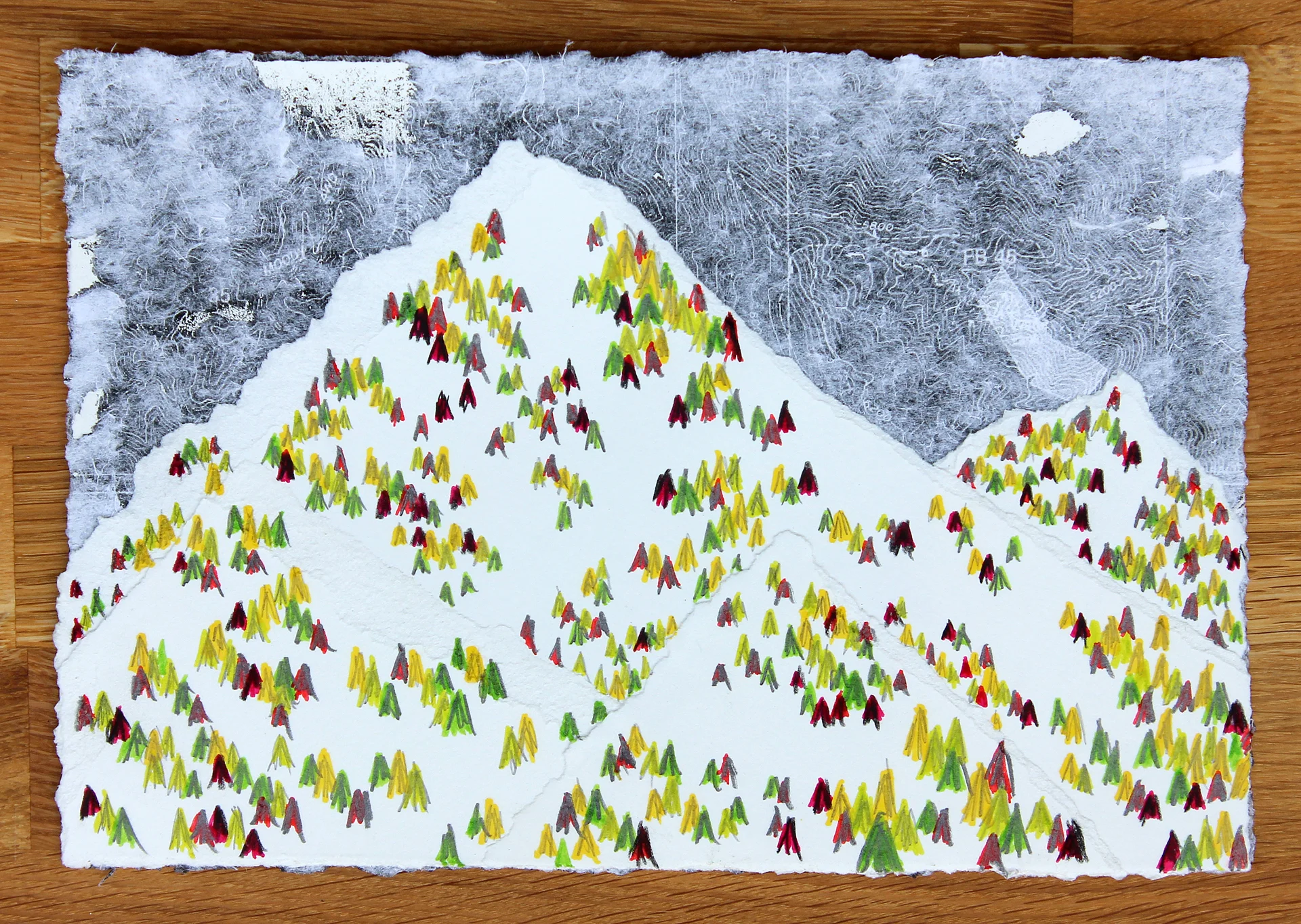 Landforms - p22c 2012 cut paper, toner, pigment & graphite on paper 11 1/8" x 14 5/8"