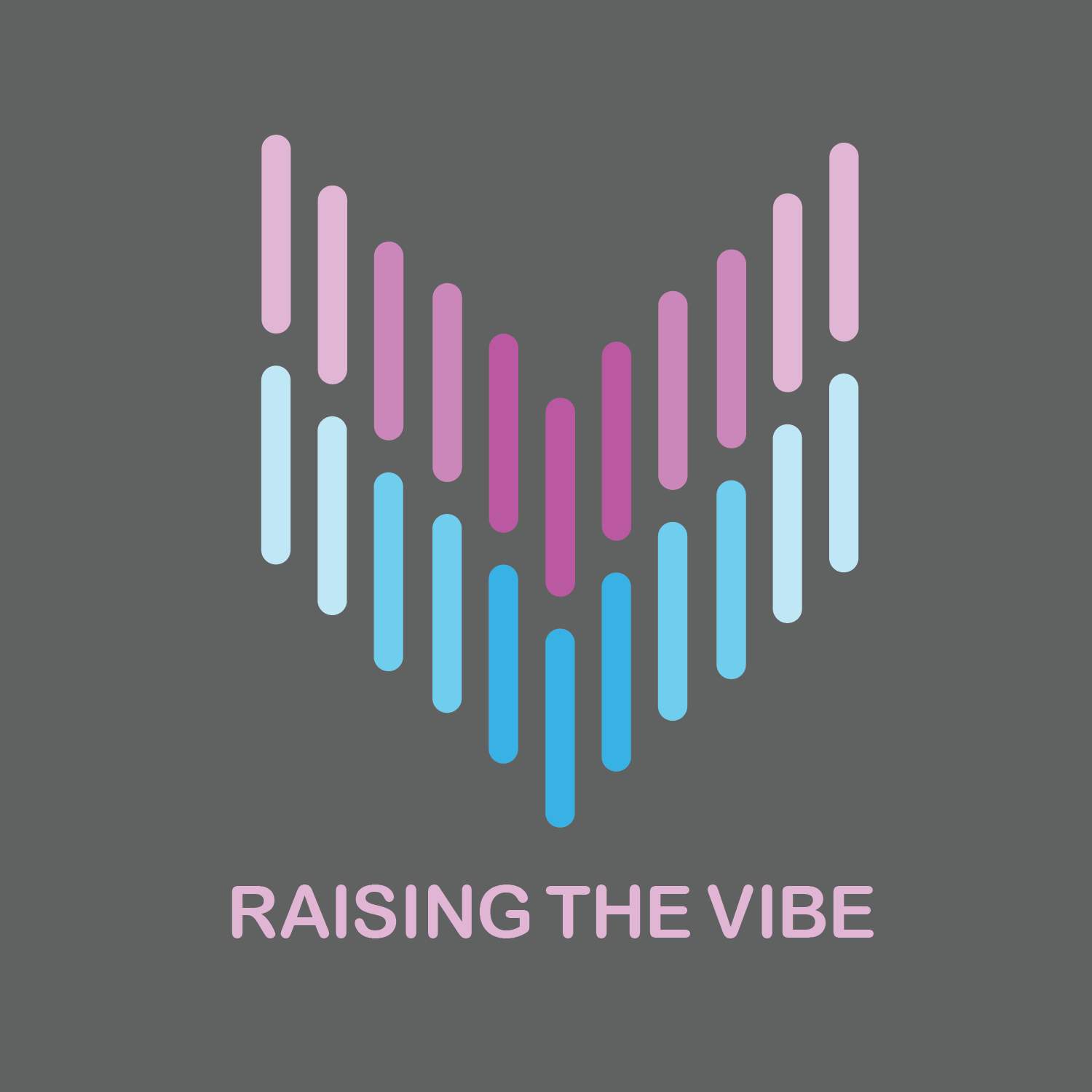 NEW RAISING THE VIBE-01.png