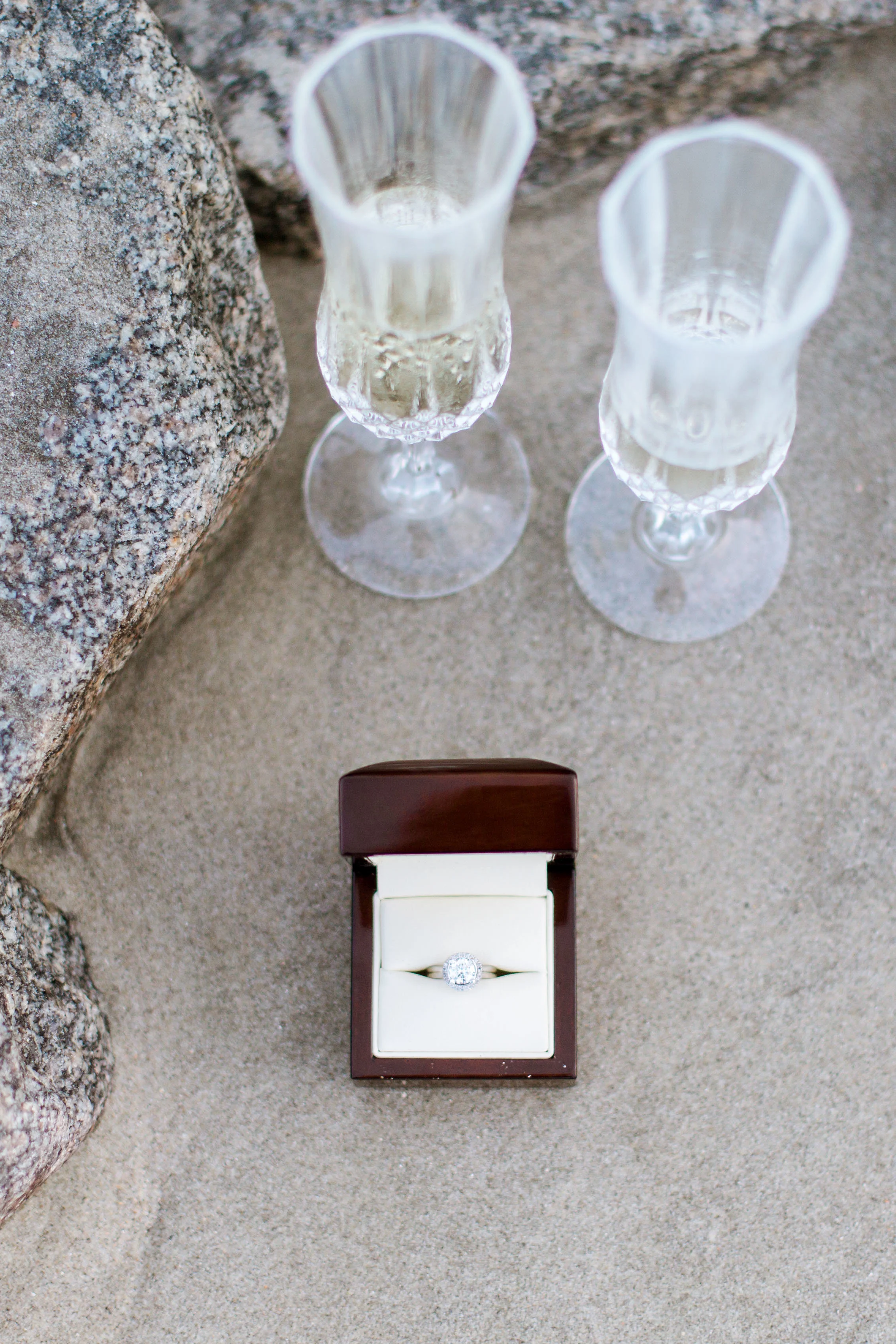 engaged(75of79).jpg