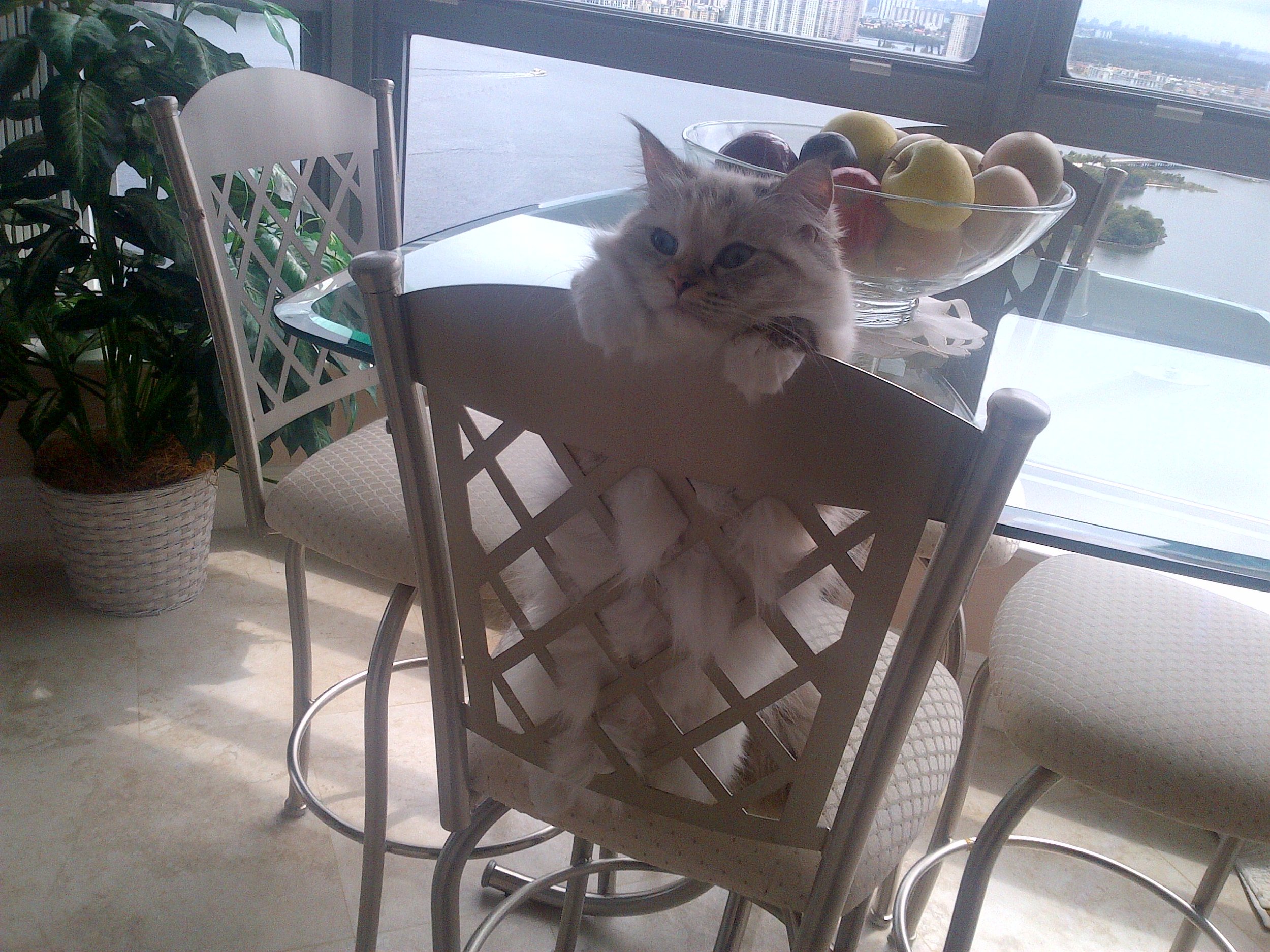 Miami-20130322-00901.jpg