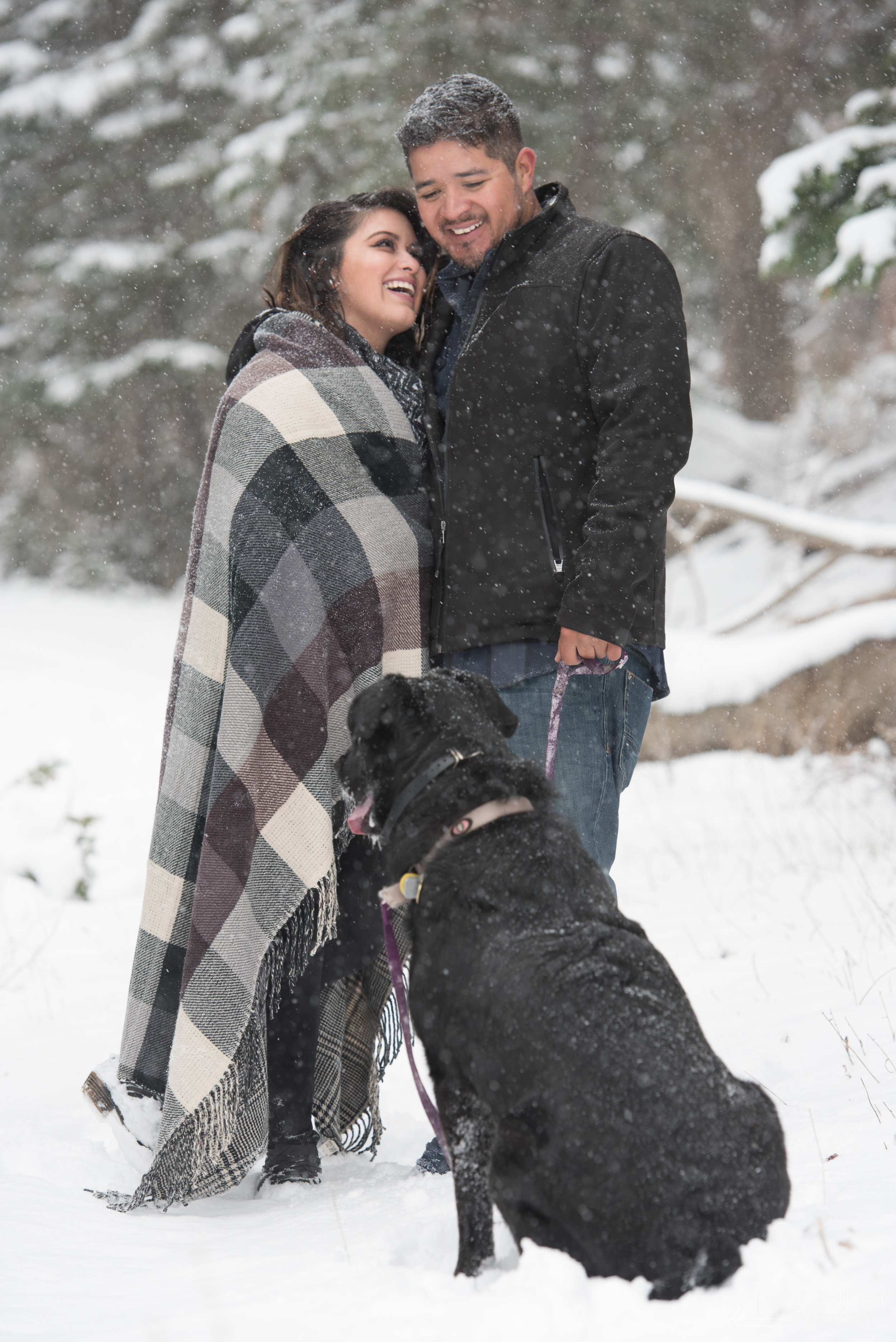 estes park rocky mountain national park engagement