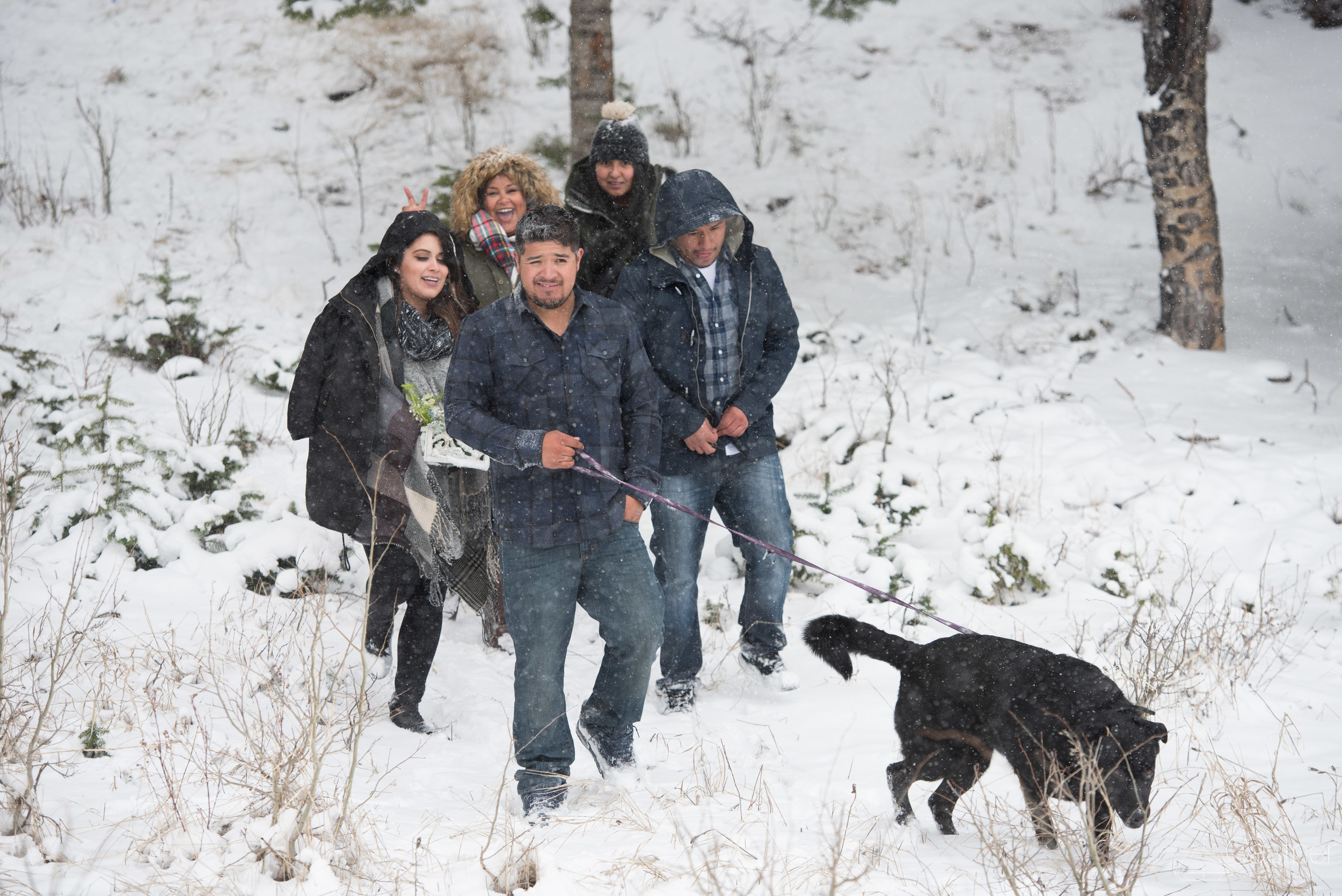 estes park rocky mountain national park engagement