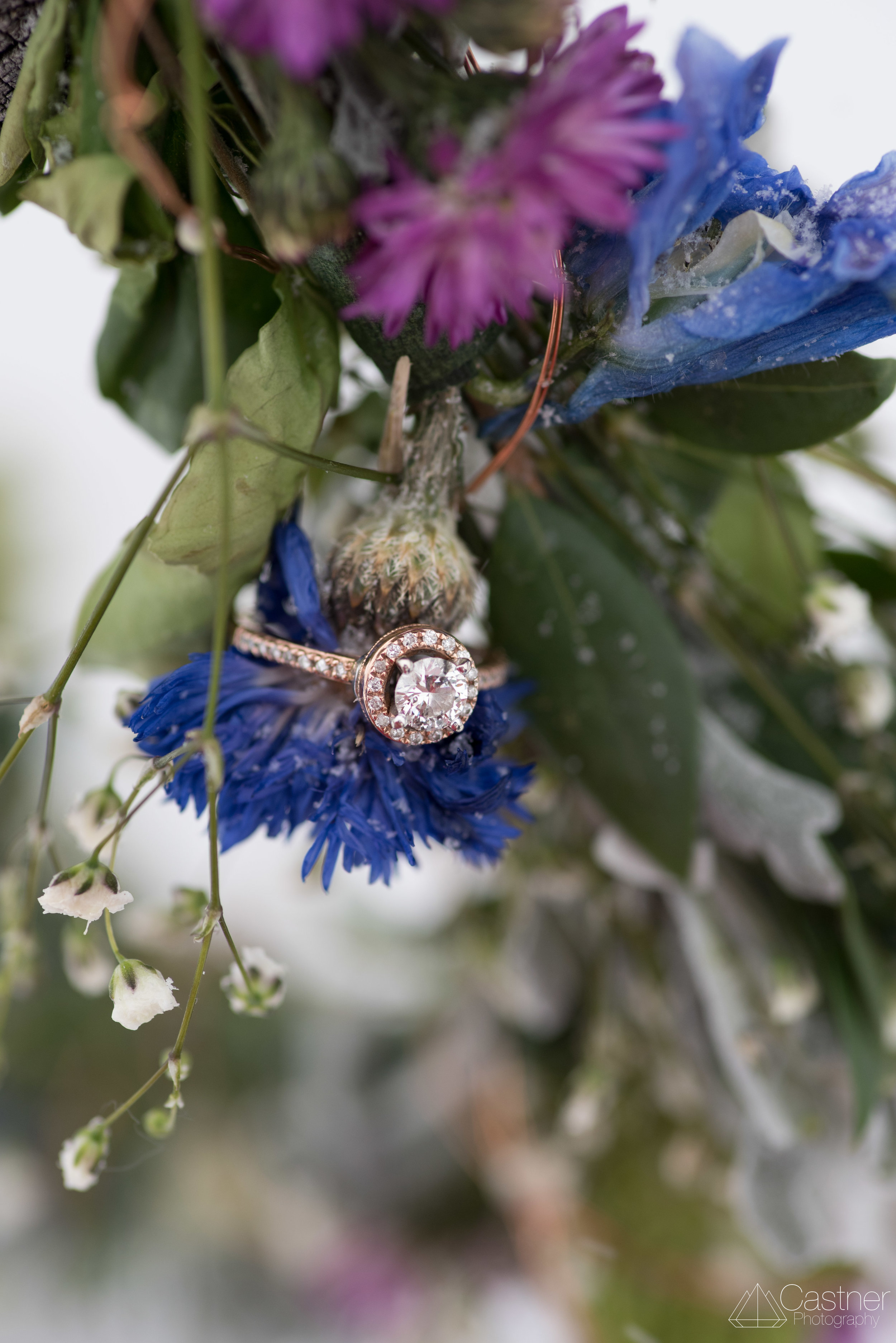 estes park rocky mountain national park engagement