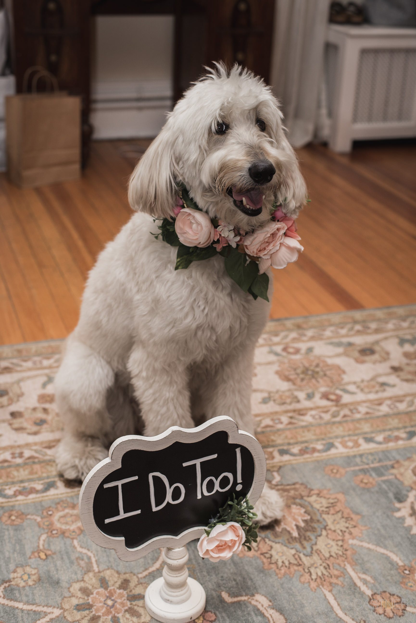 grant humphreys mansion denver boulder candid wedding photographers