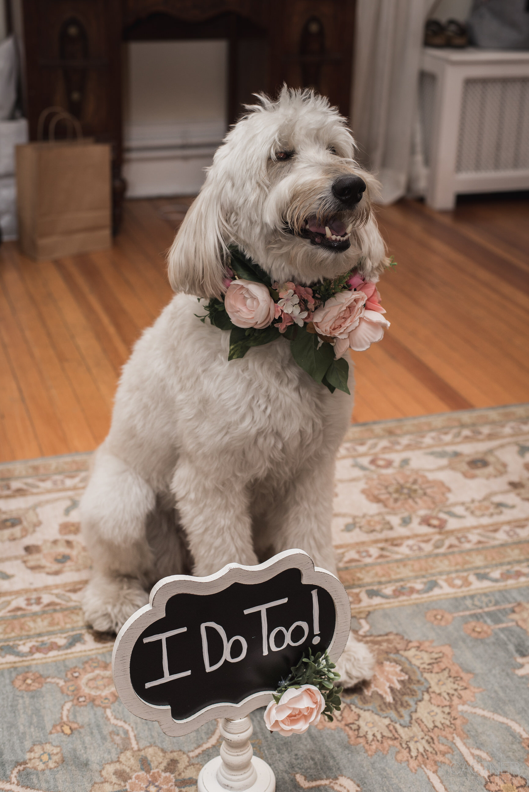 grant humphreys mansion denver boulder candid wedding photographers