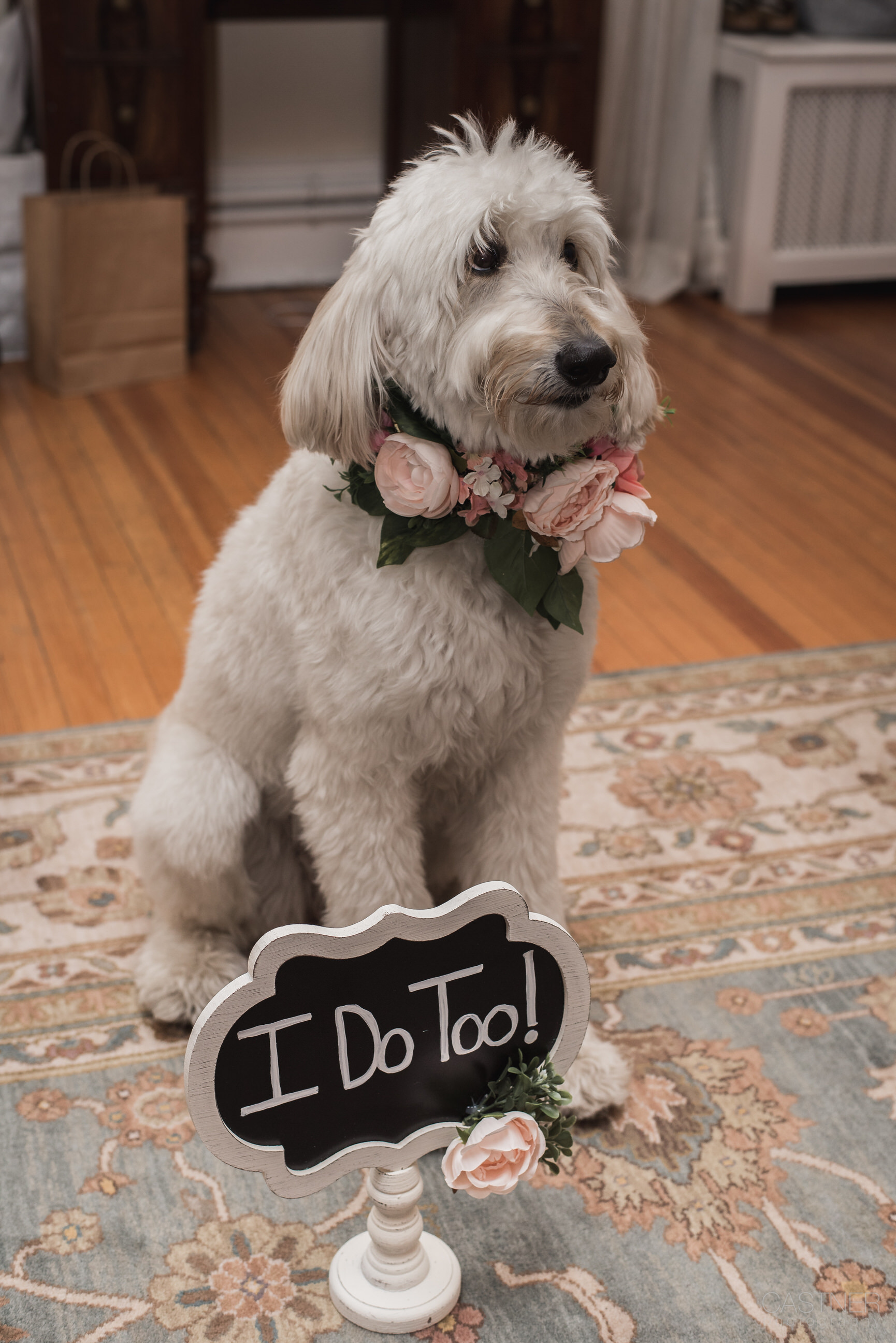 grant humphreys mansion denver boulder candid wedding photographers