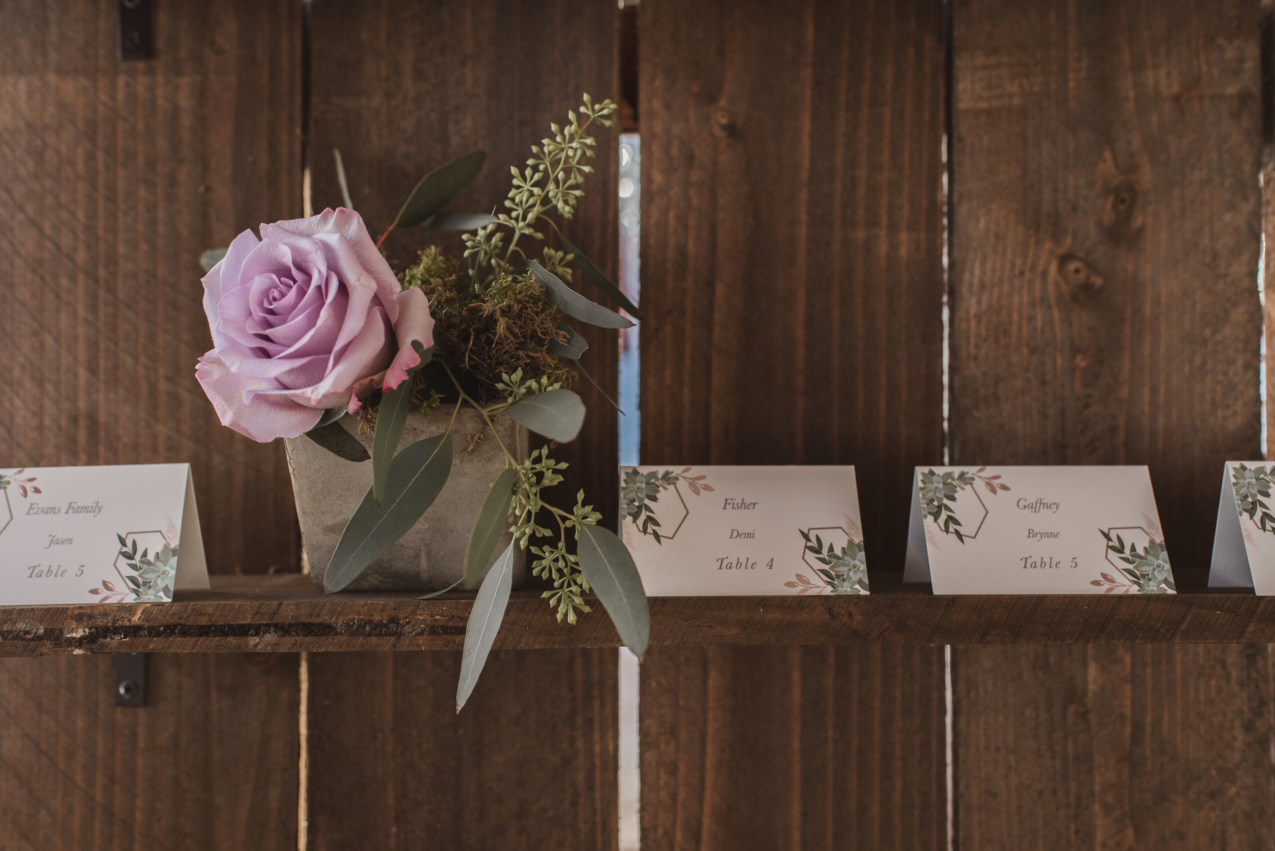 raccoon creek winter wedding photography boulder colorado mountains