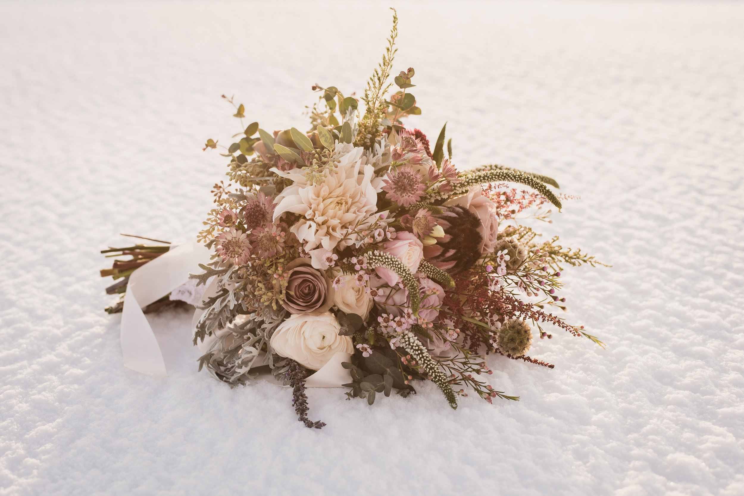 raccoon creek winter wedding photography boulder colorado mountains