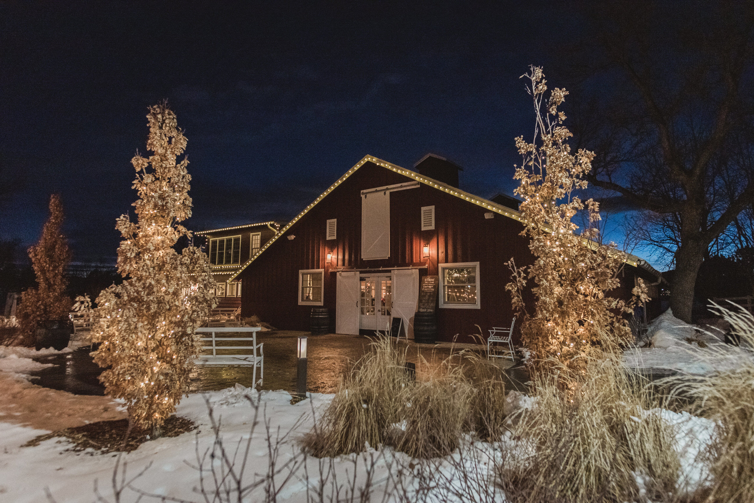 raccoon creek winter wedding photography boulder colorado mountains