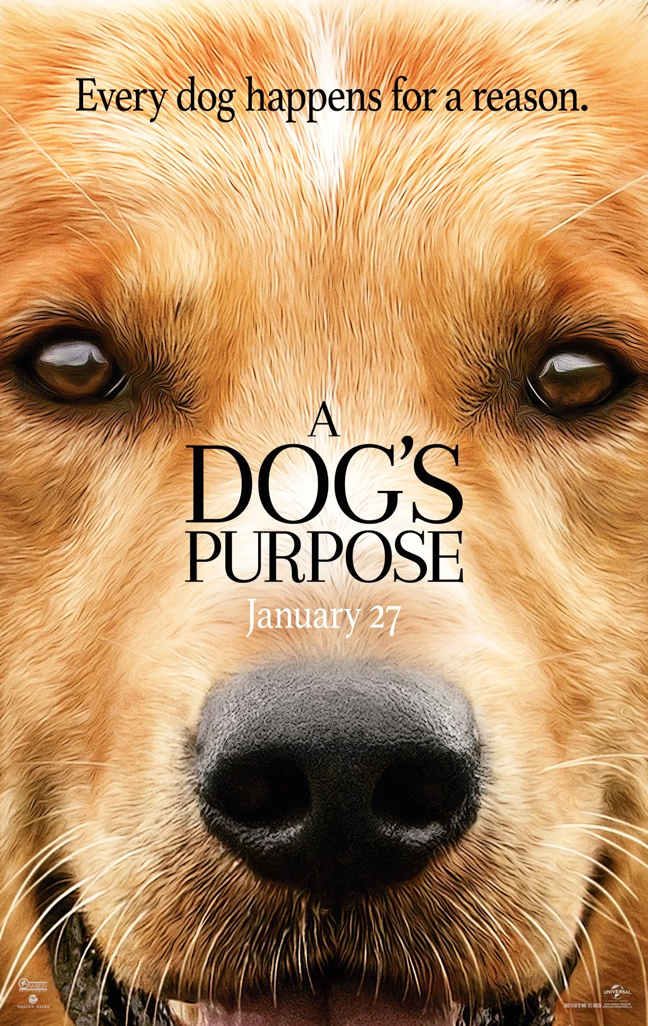 A Dog's Purpose (2017) | Graphic Artist