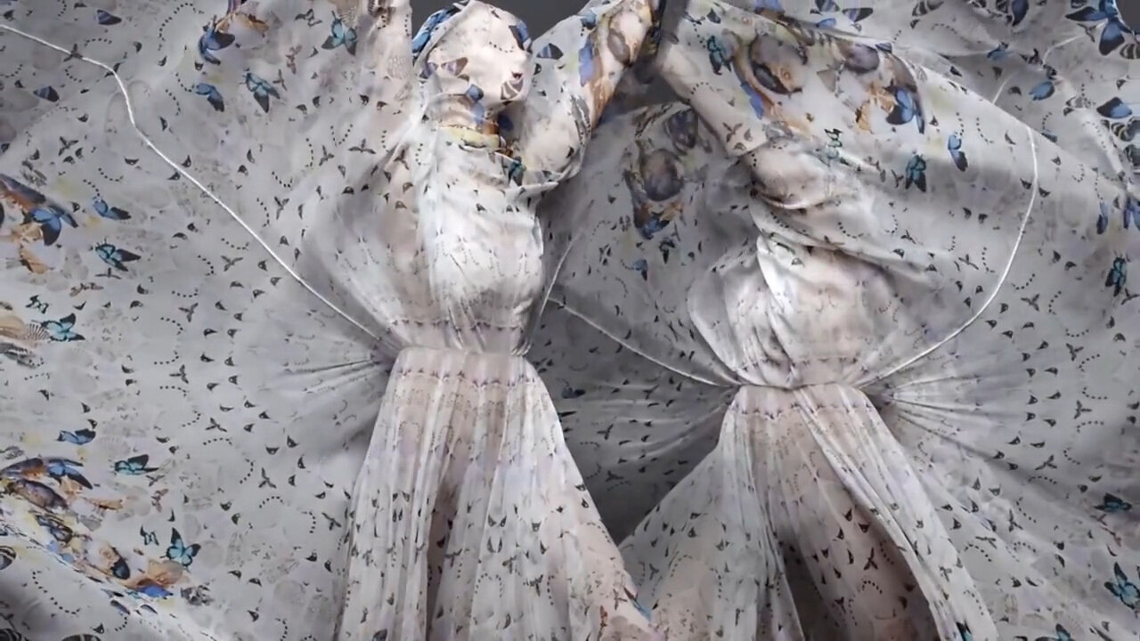 Alexander Mcqueen and Damien Hirst by Solve Sundsbo / Edit and vfx by Adam Aftanas for Spring Studios
