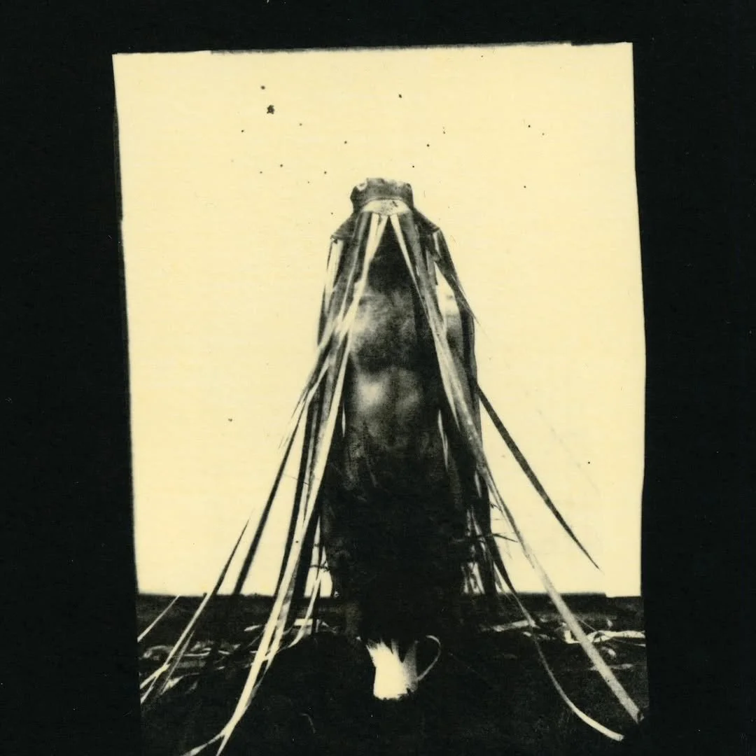 magda kuca tomasz armada 2.jpg