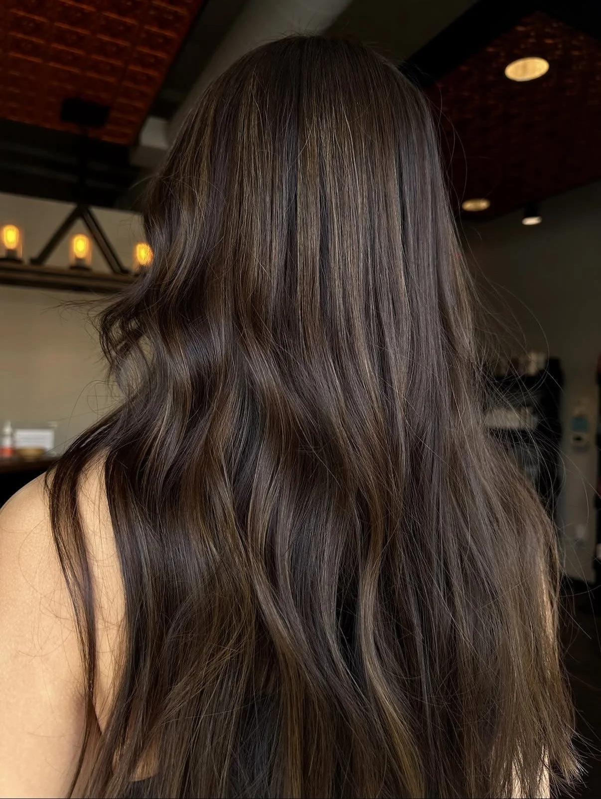 Brunette Highlights by Abbey.jpeg
