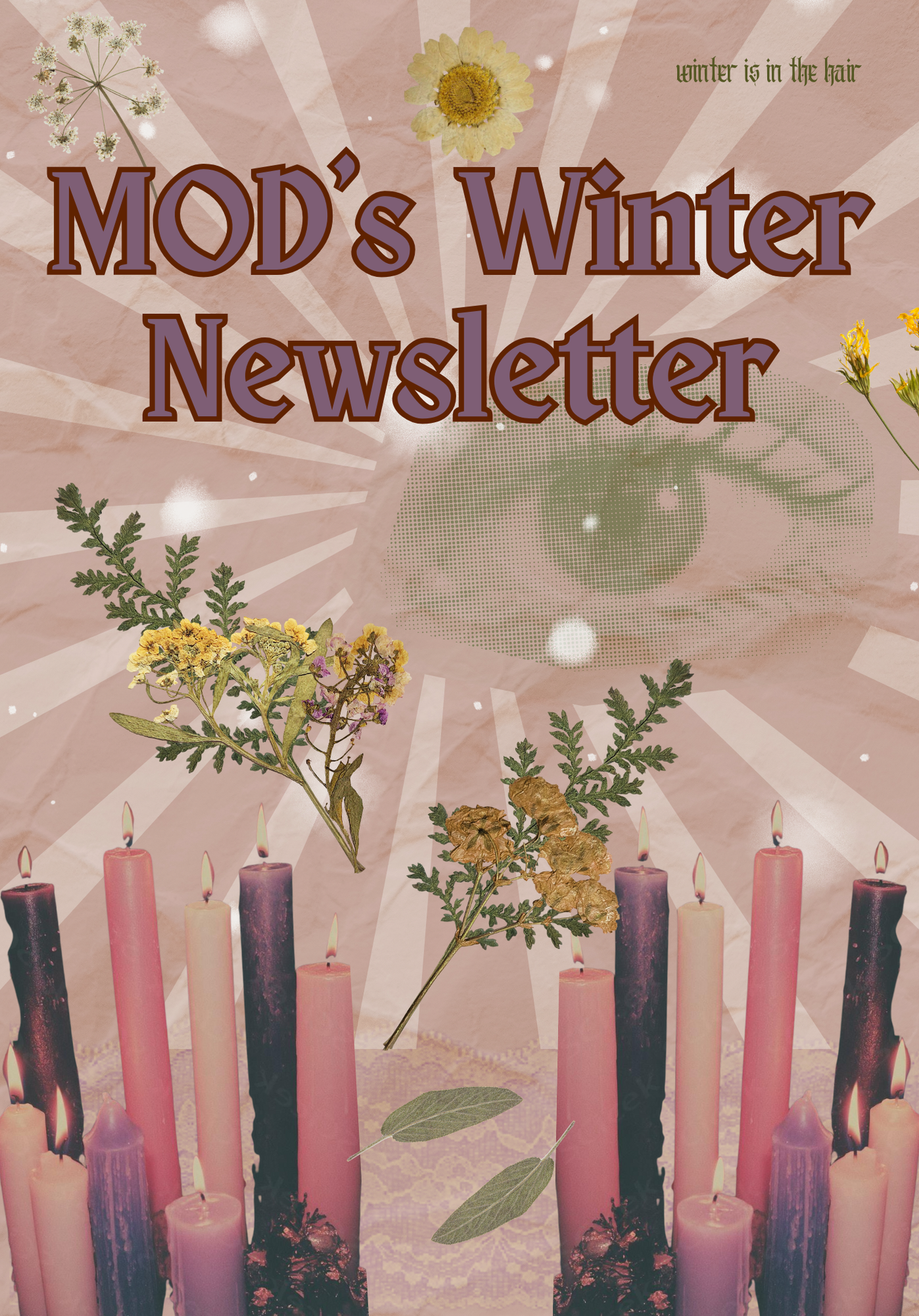 Winter '25 Zine News