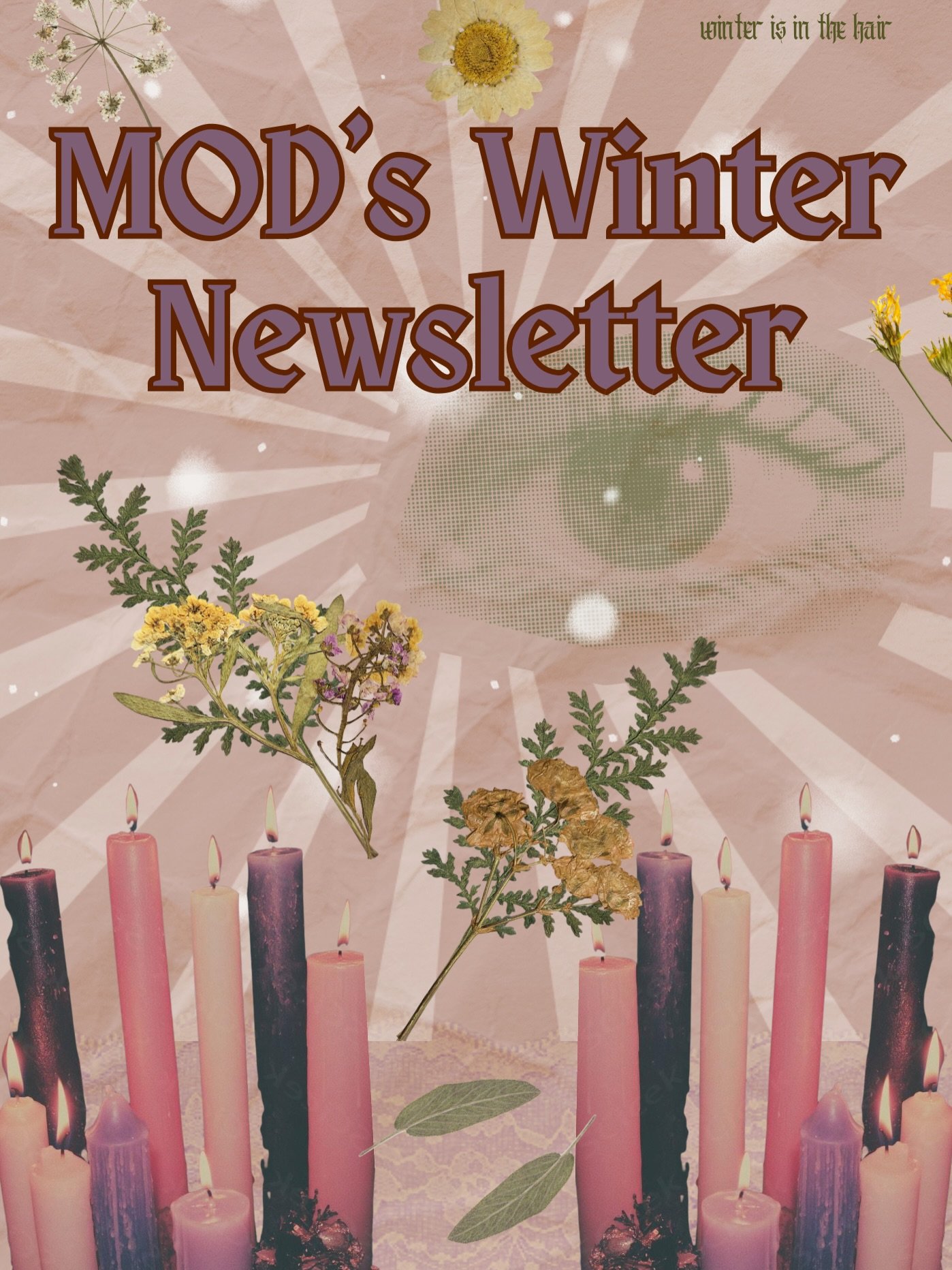 There&rsquo;s a lot I could say about 2025, mostly how it vanished in an instant! But, we managed to pack a lot into our year this year! We welcomed some new faces to the team @vanessa.sdhairstylist @shearsynastry @nuria_does_hair @vivid_rituals_ , j