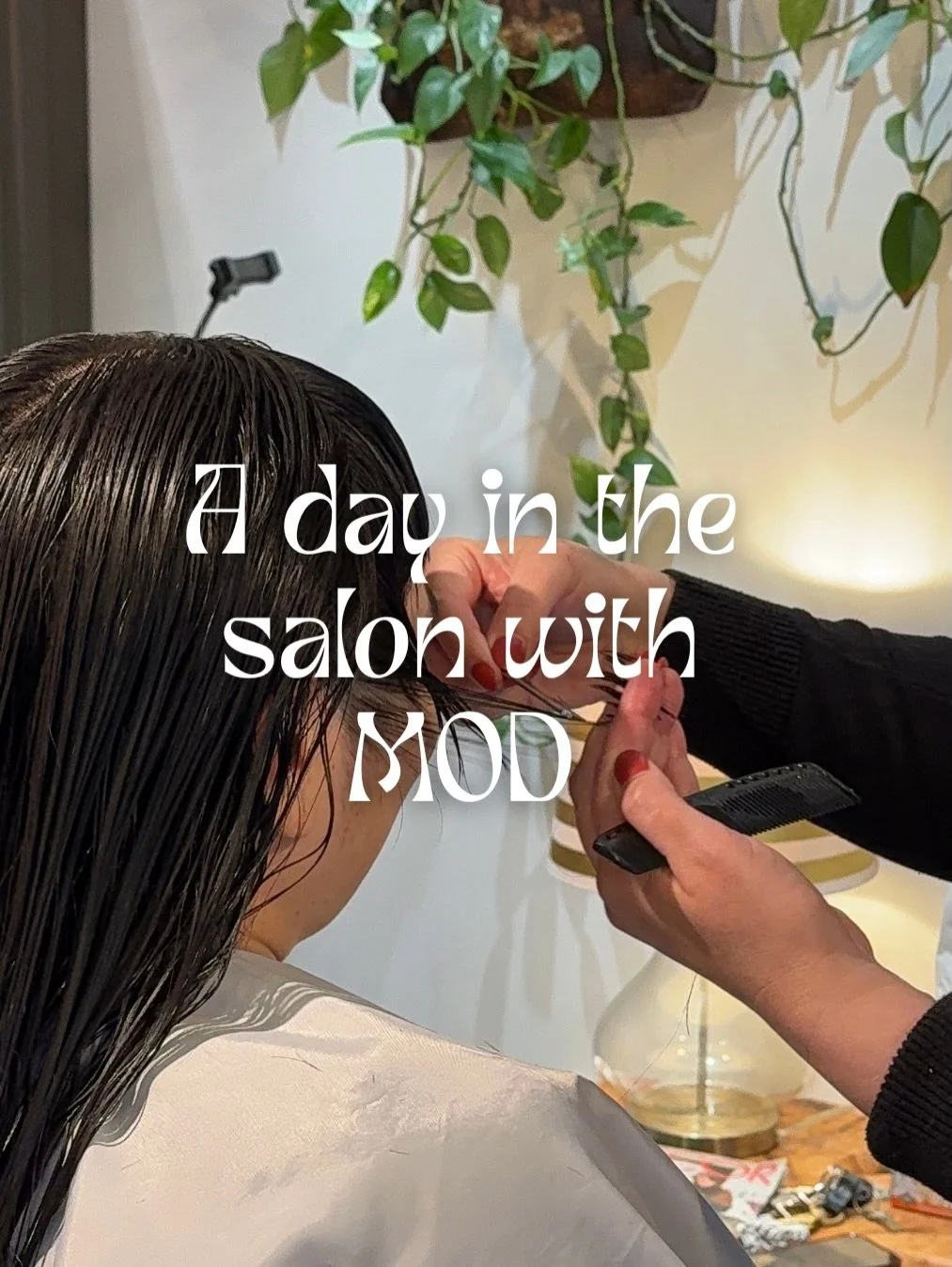 As soon as you enter MOD, you feel at home and safe in our professional hands. Warm and inviting, calming and grounding with a little playfulness and whimsy ✨
Come take a reprieve and leave with your new favorite hair 🌙

https://www.modhairsalon.com