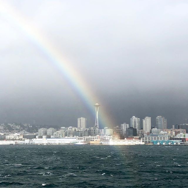 okay Seattle we get it. yr cute. 🌈