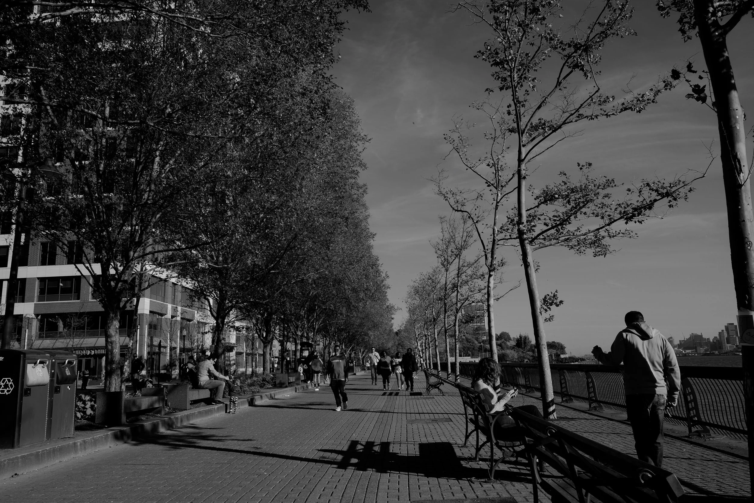 Sinatra Drive - Hoboken